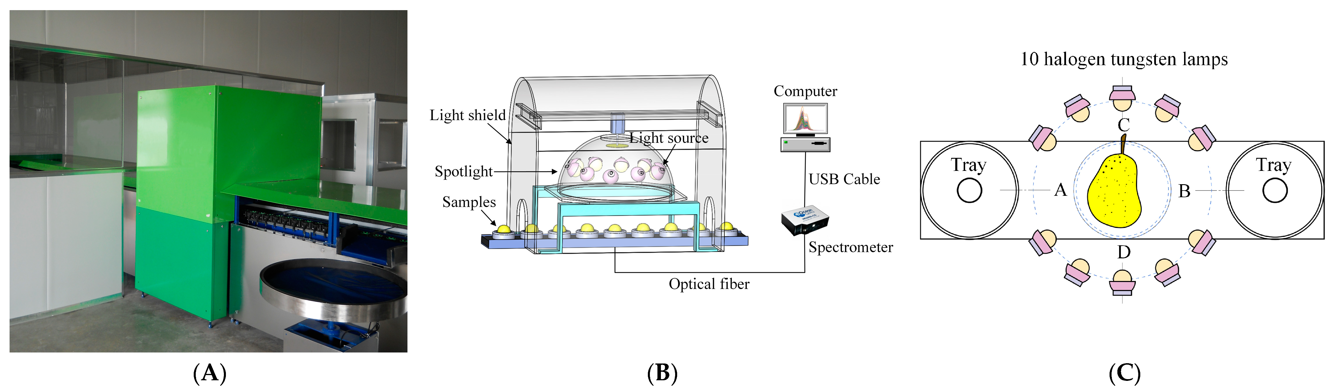 Biosensors 13 00203 g001