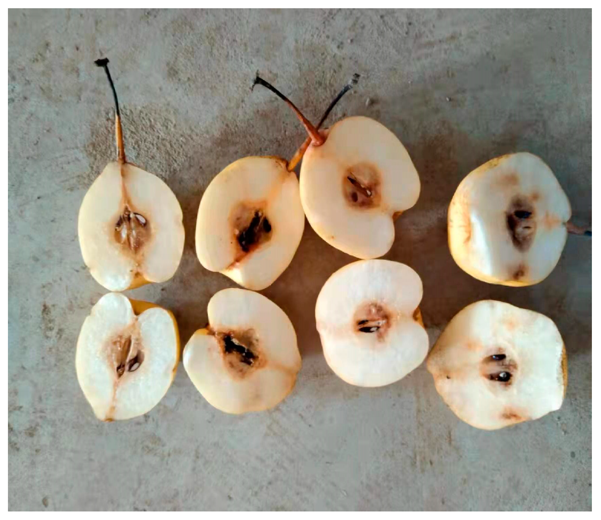 Biosensors 13 00203 g002