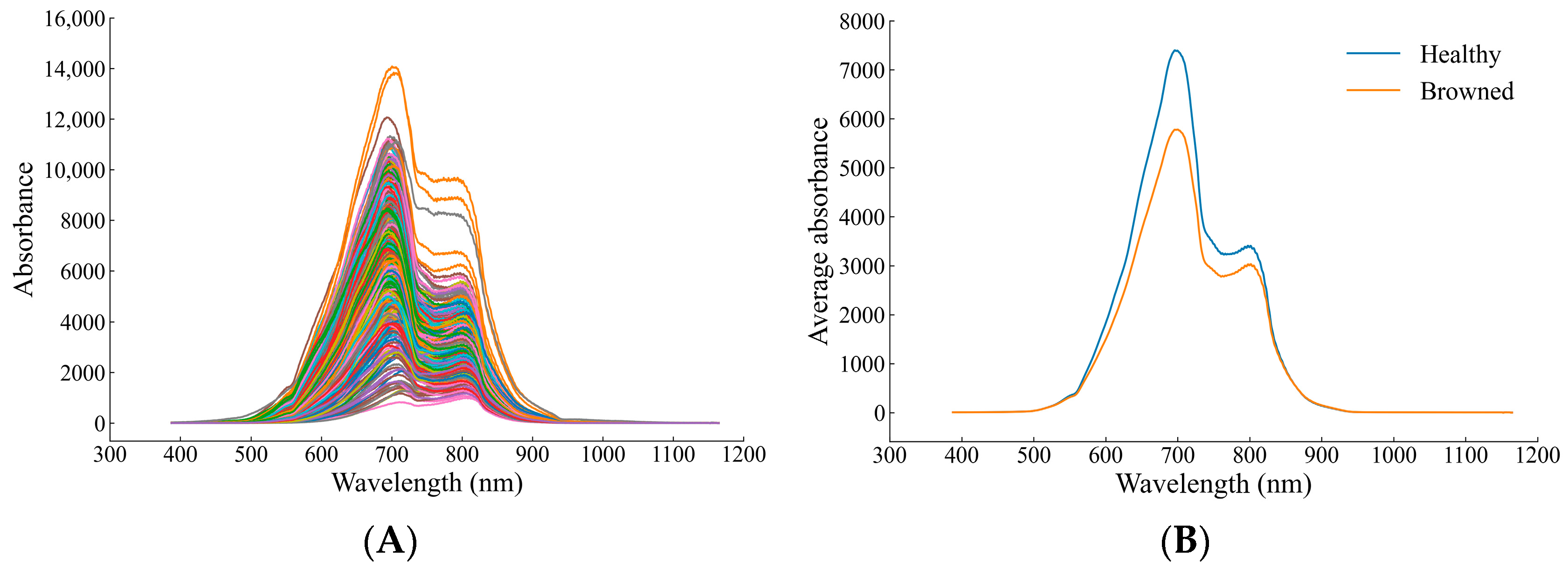 Biosensors 13 00203 g005