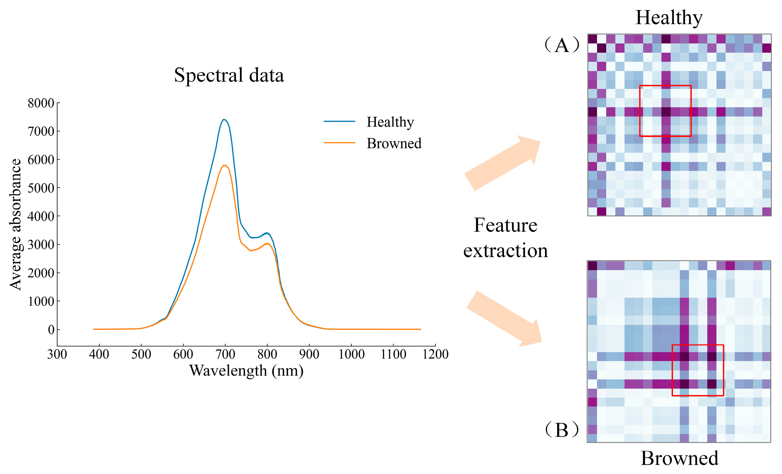 Biosensors 13 00203 g009
