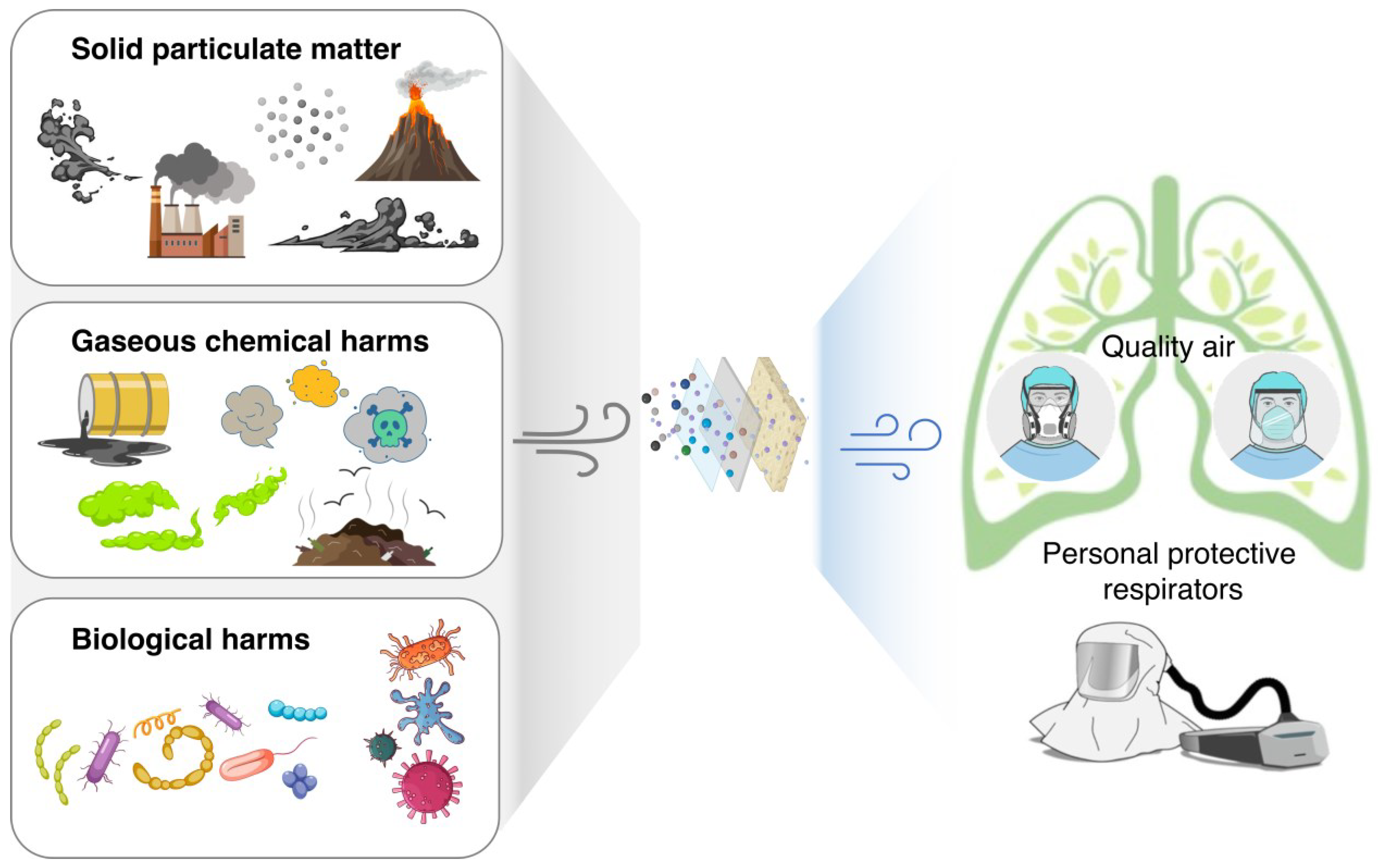 Biosensors 13 00205 g001 Biosensors 13 00205 g001
