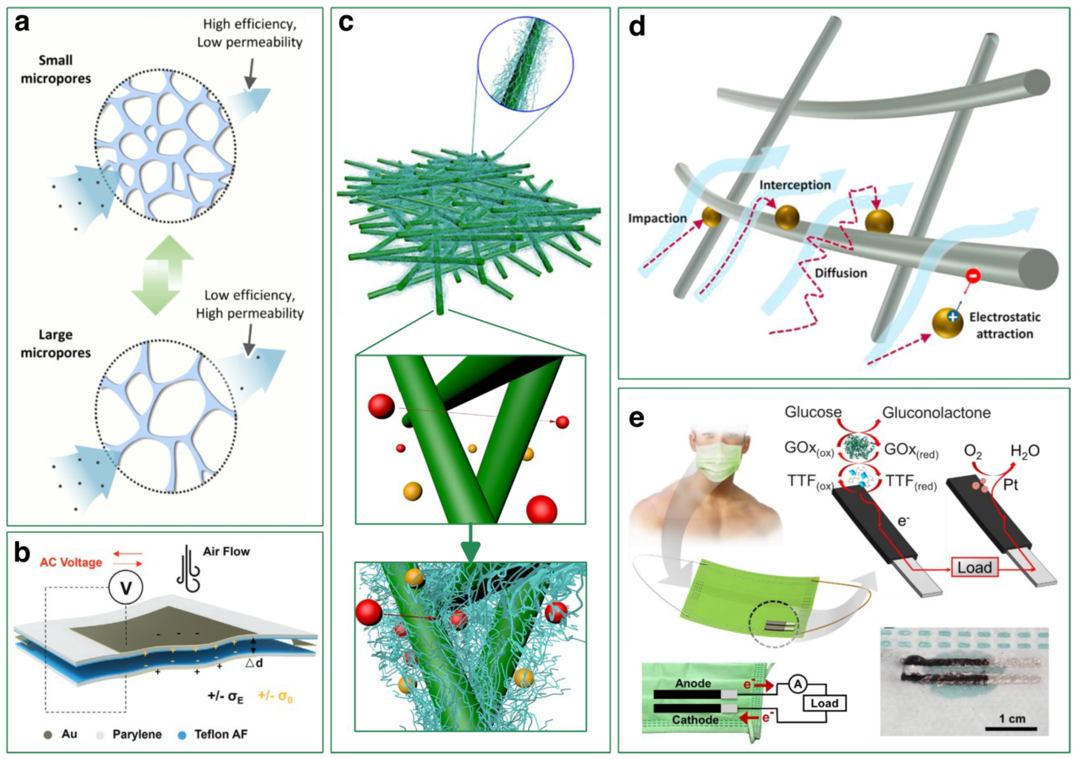 Biosensors 13 00205 g002 Biosensors 13 00205 g002