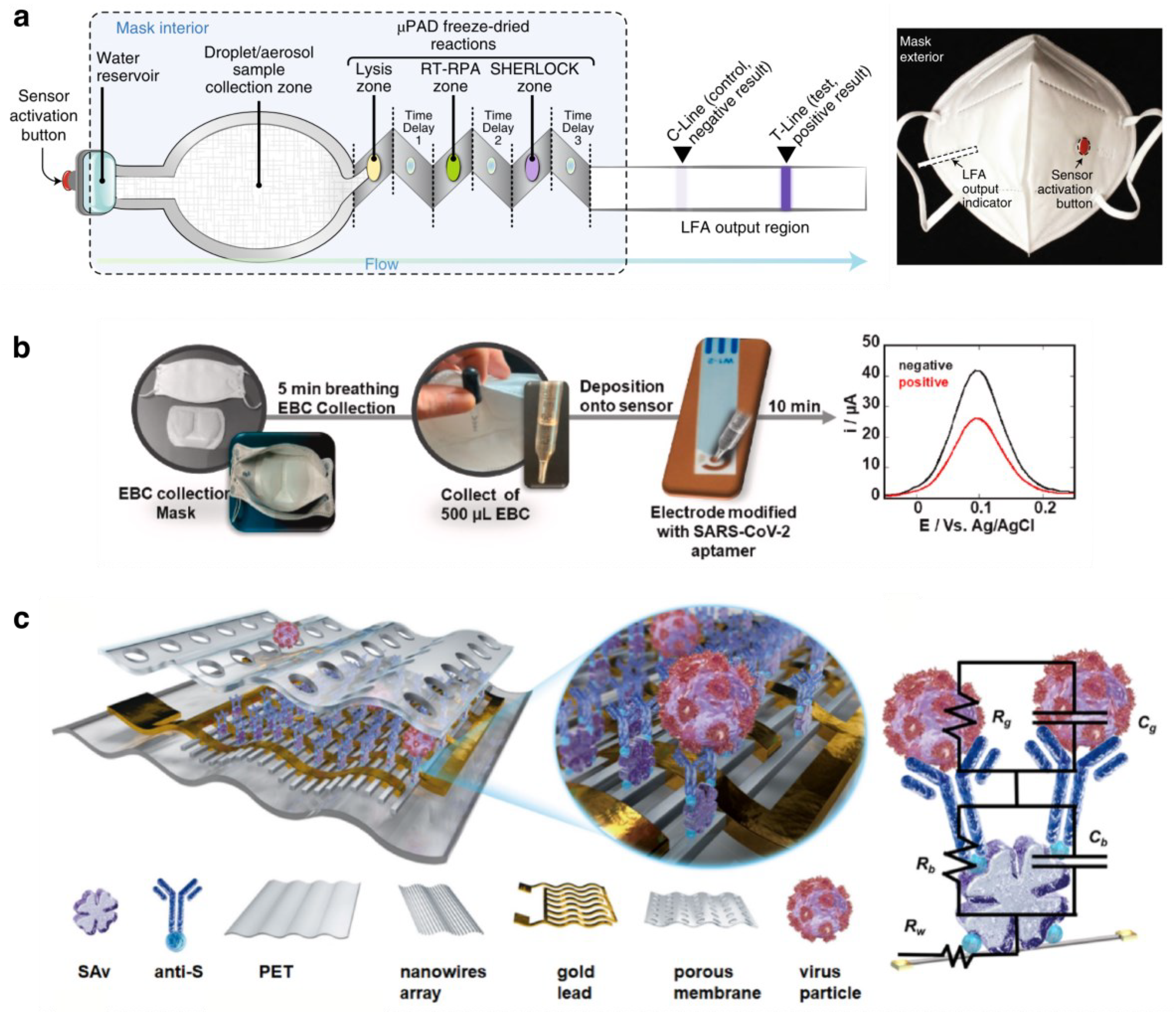 Biosensors 13 00205 g006 Biosensors 13 00205 g006