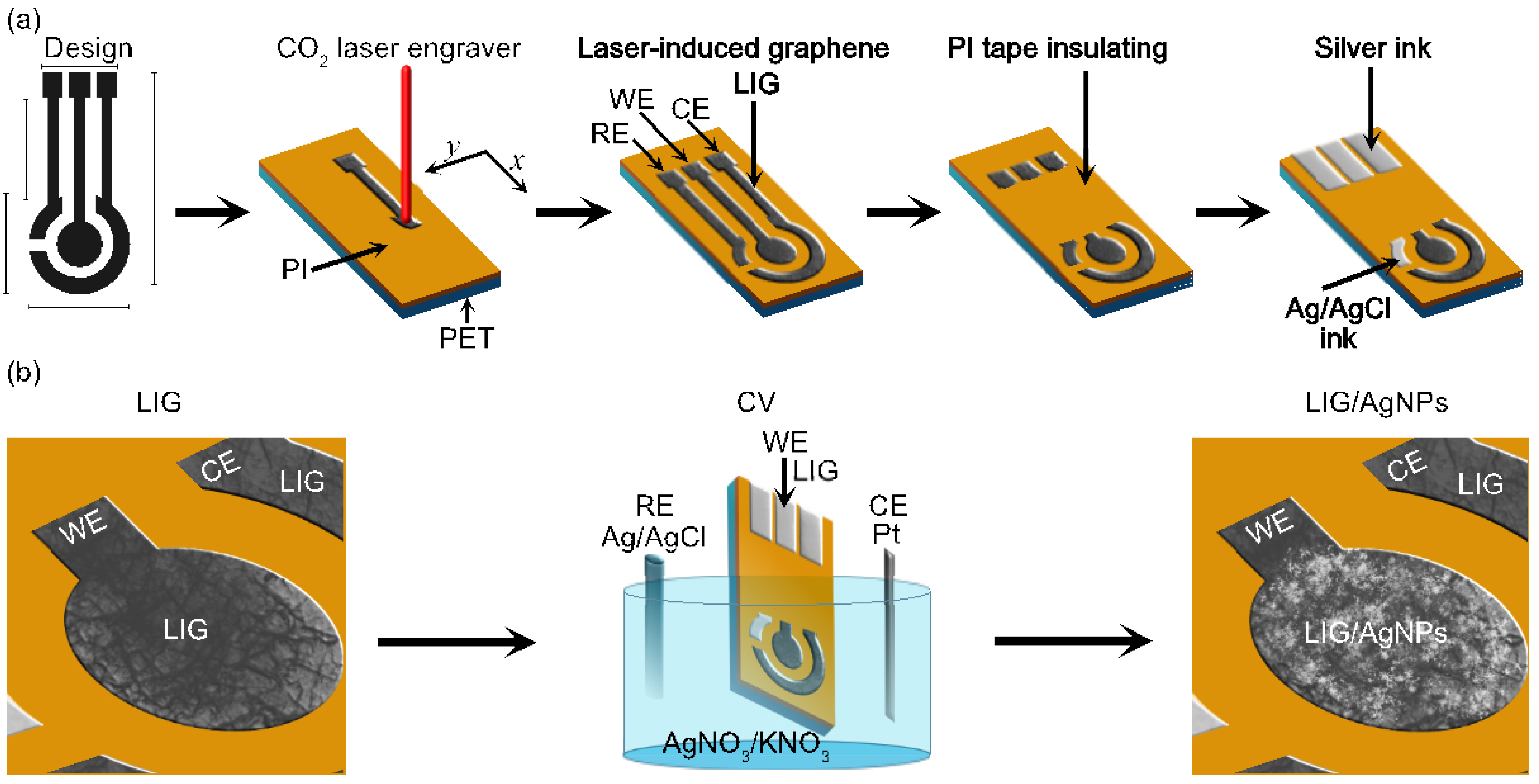 Biosensors 13 00207 g001