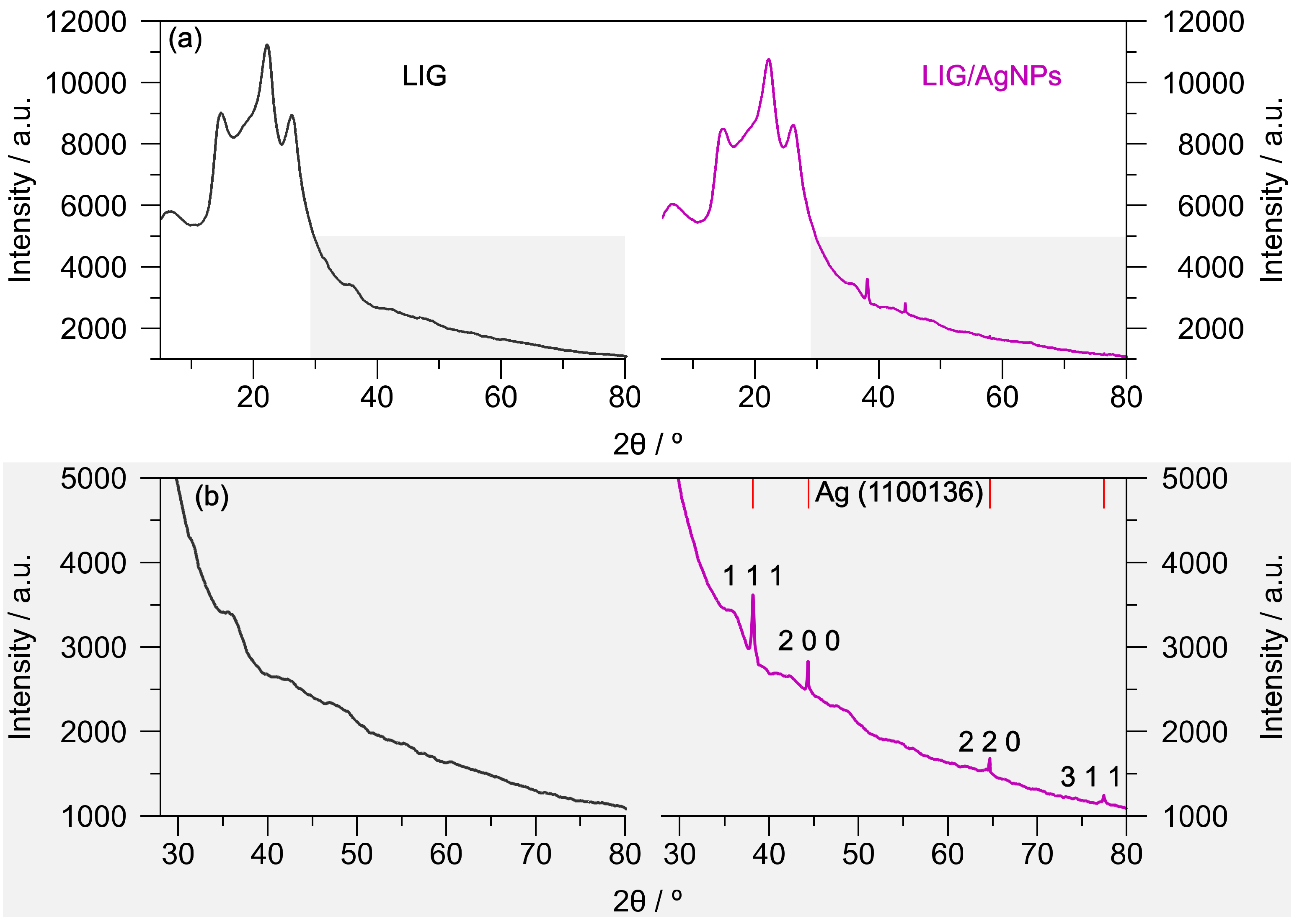 Biosensors 13 00207 g005