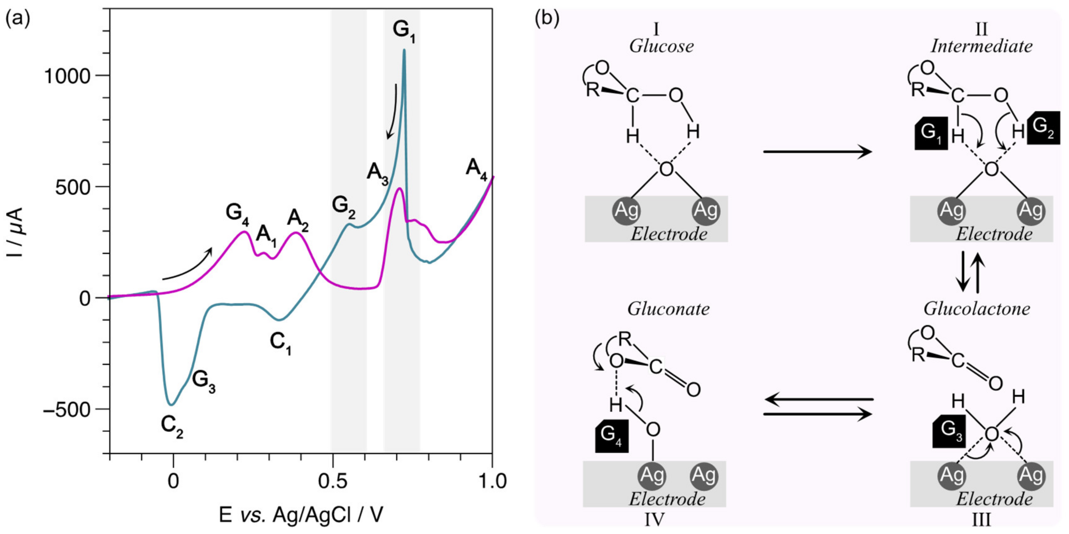 Biosensors 13 00207 g007