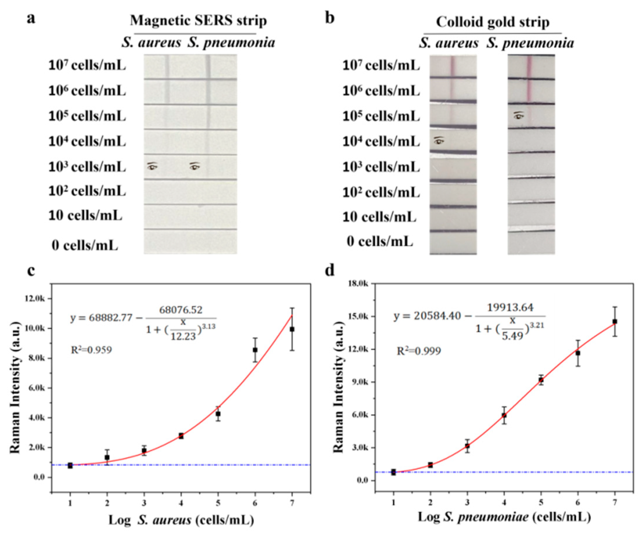 Biosensors 13 00210 g003