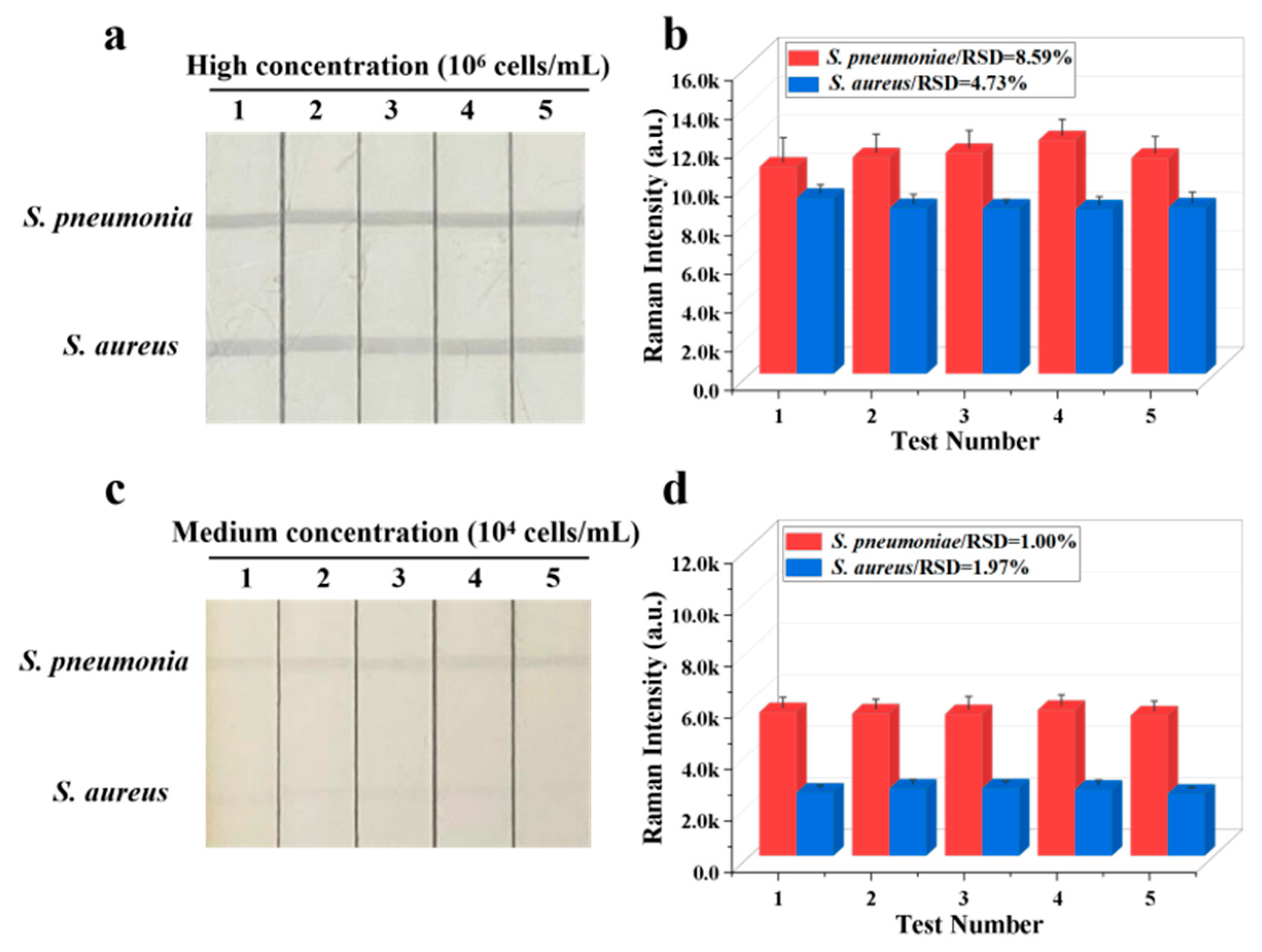 Biosensors 13 00210 g004