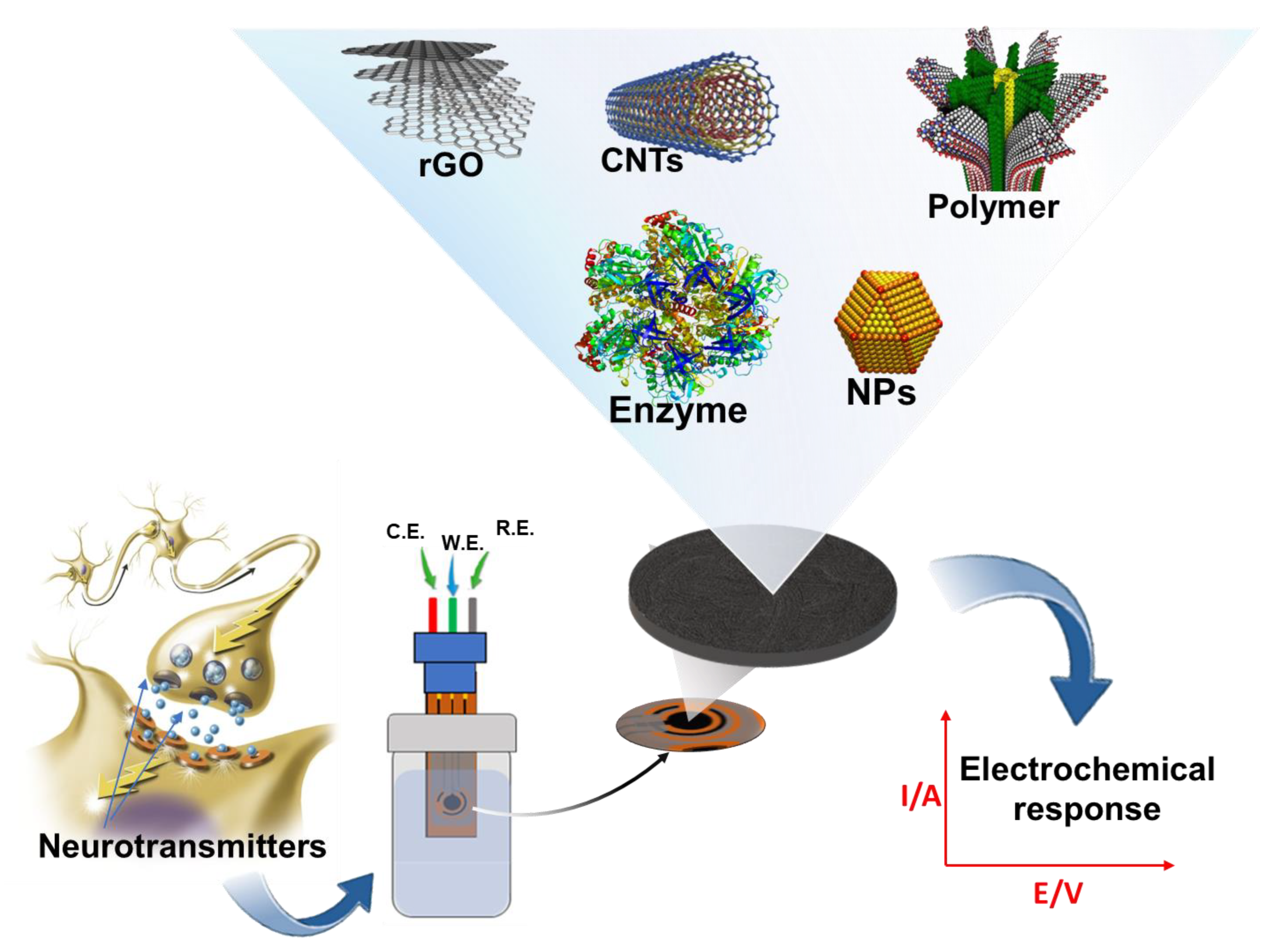 Biosensors 13 00211 g002