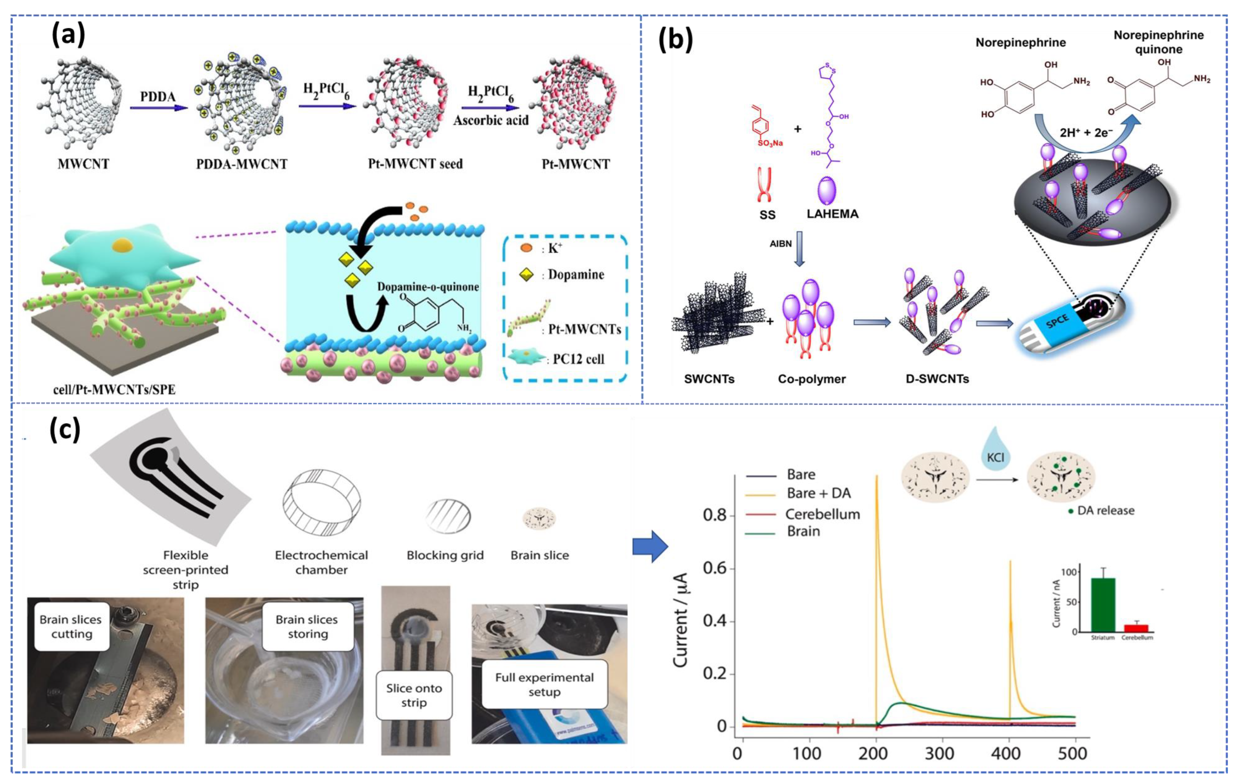 Biosensors 13 00211 g004