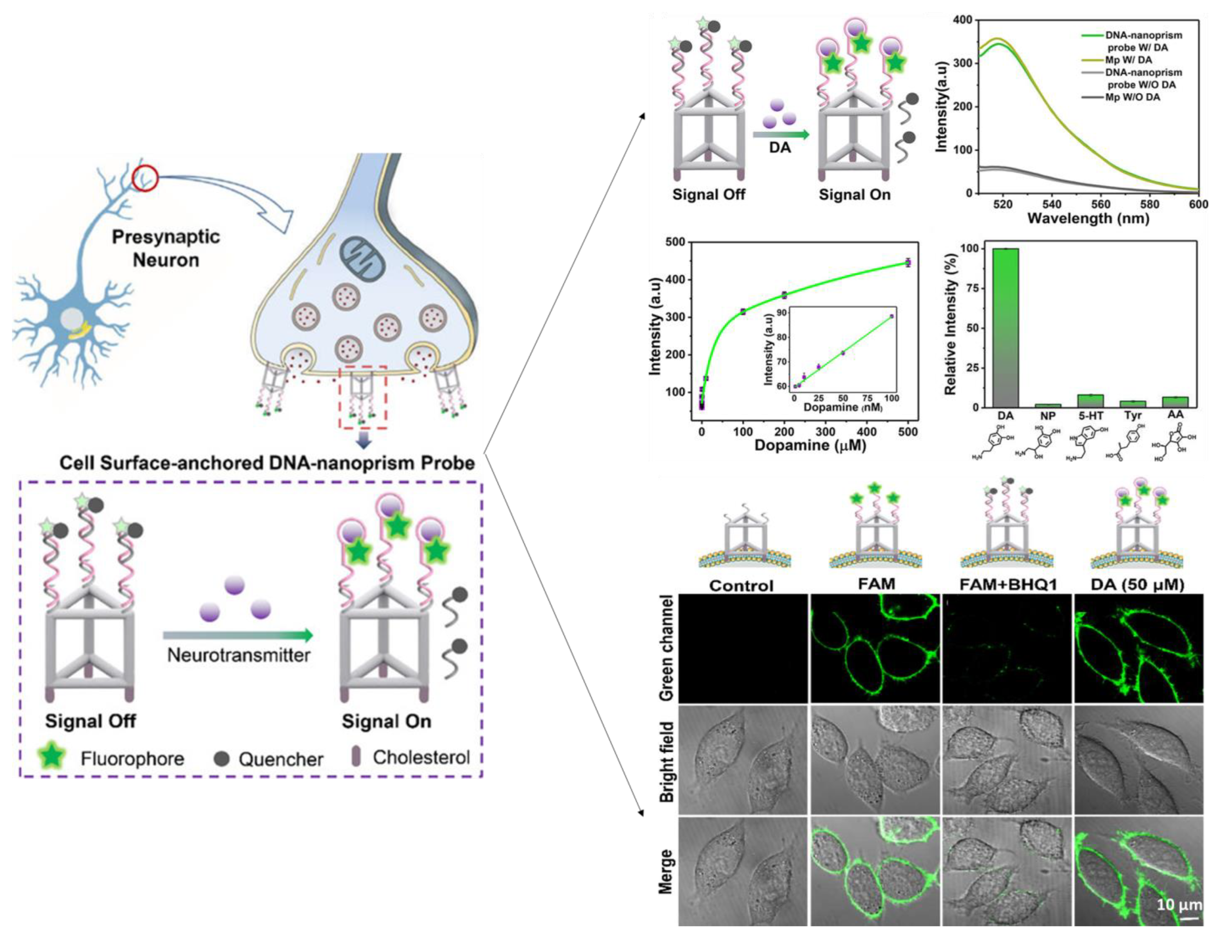 Biosensors 13 00211 g009