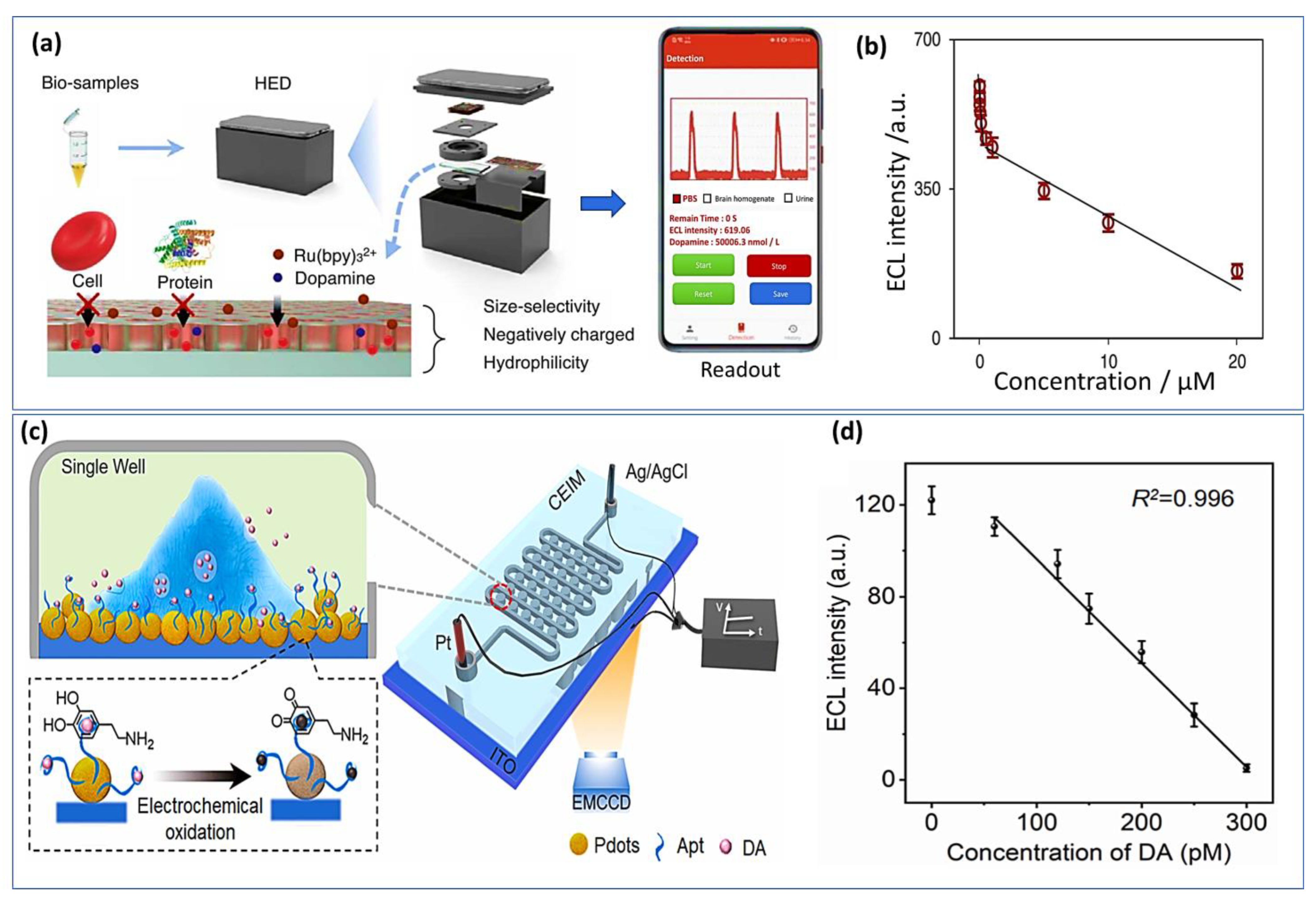 Biosensors 13 00211 g010