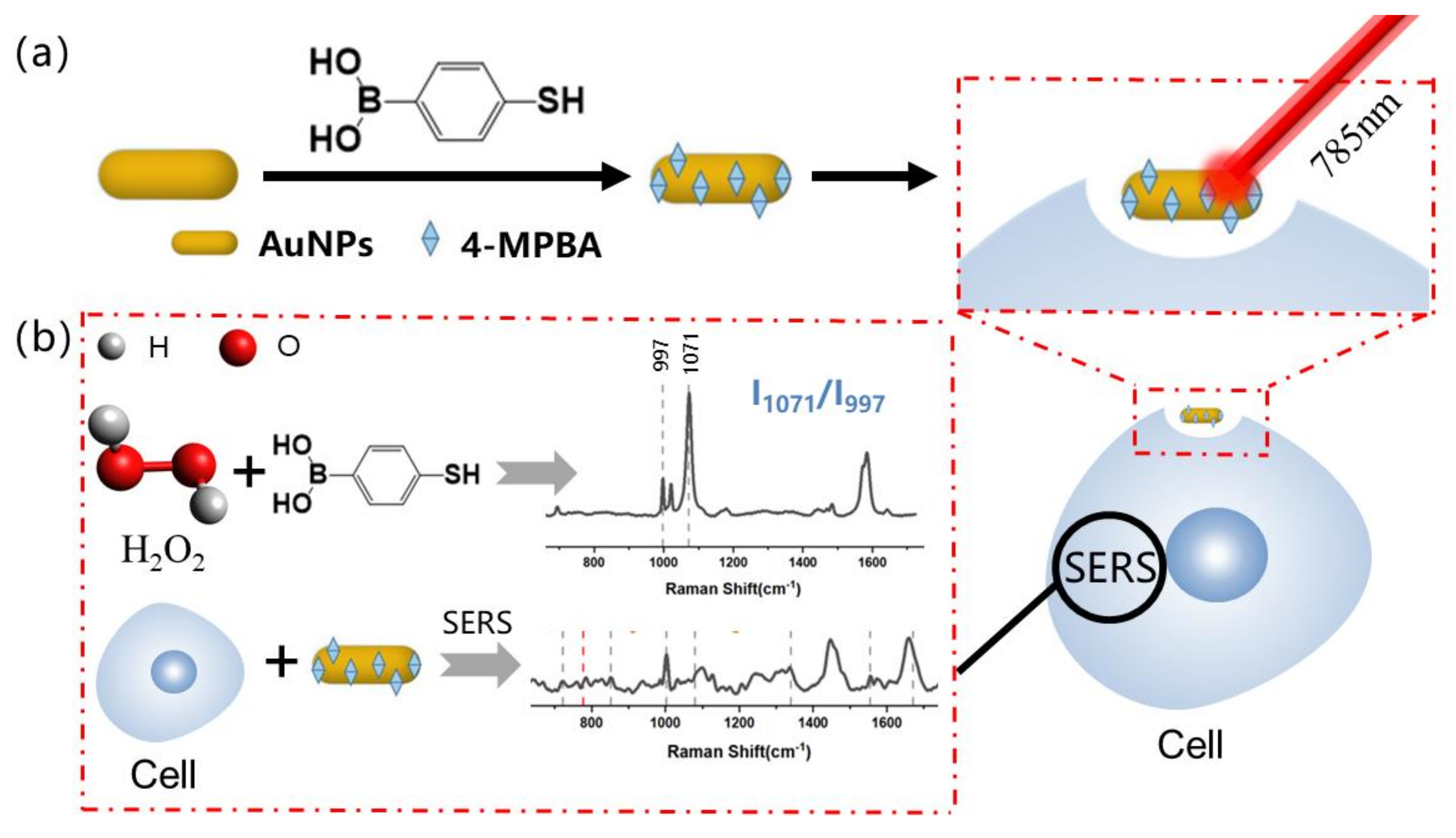Biosensors 13 00212 sch001