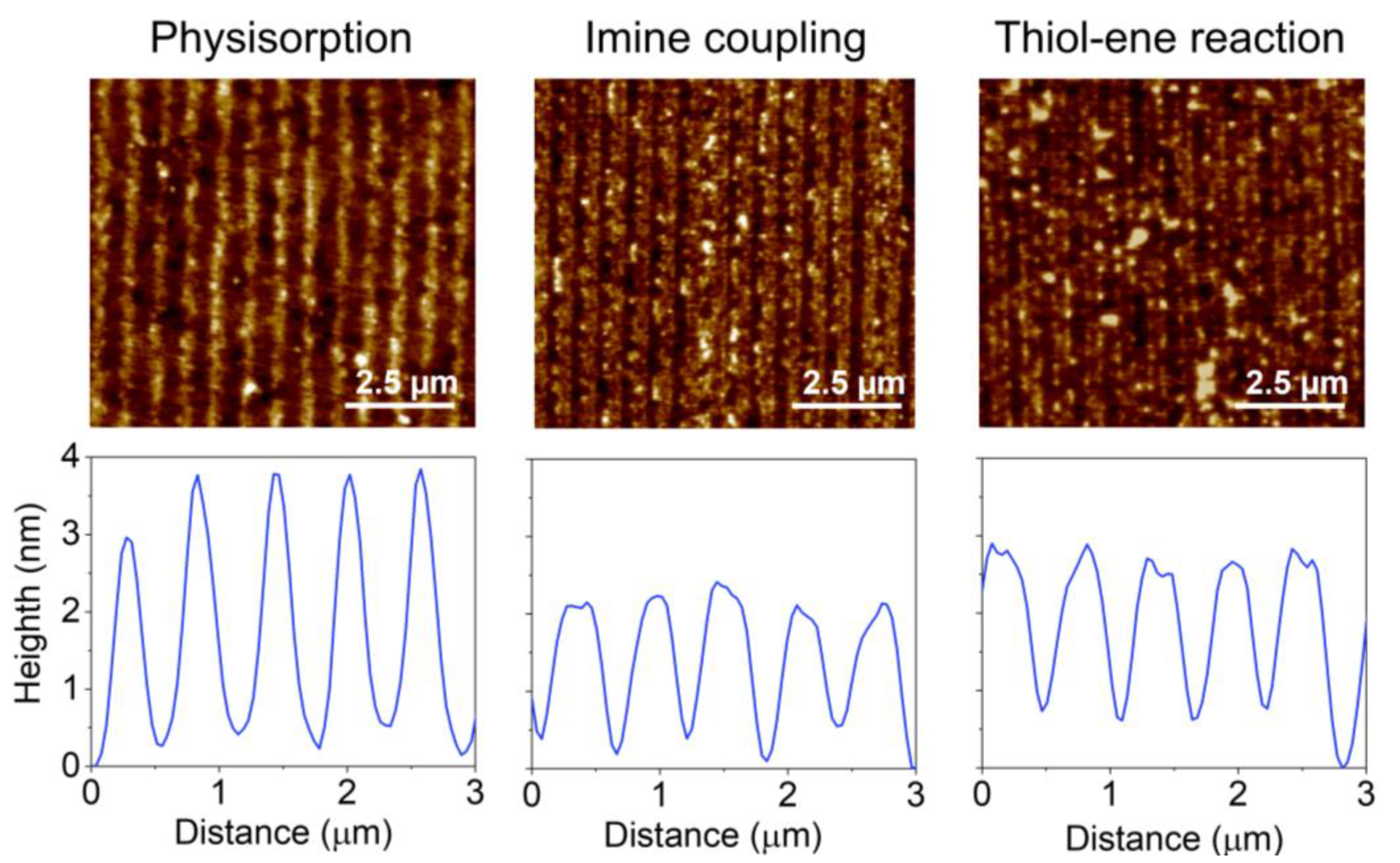 Biosensors 13 00214 g005 Biosensors 13 00214 g005