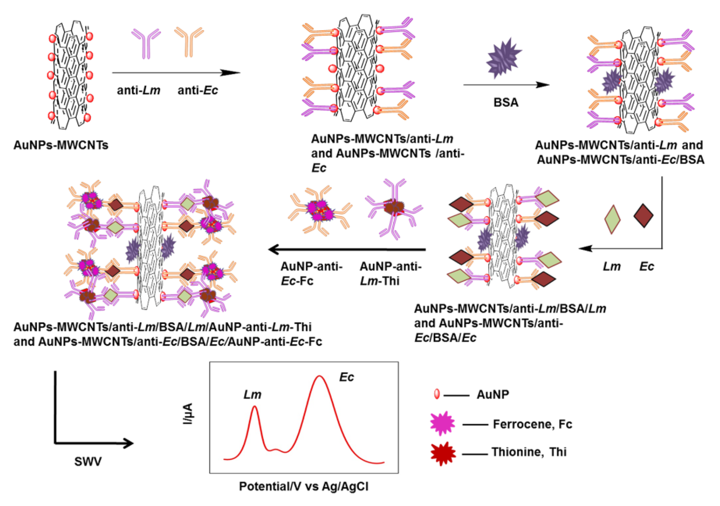 Biosensors 13 00216 g005