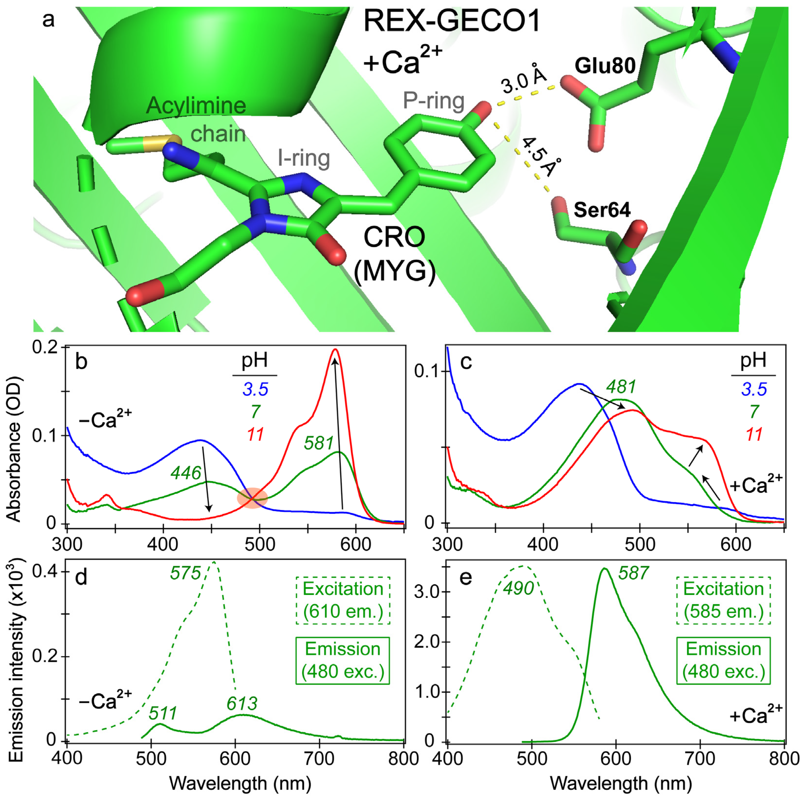 Biosensors 13 00218 g001