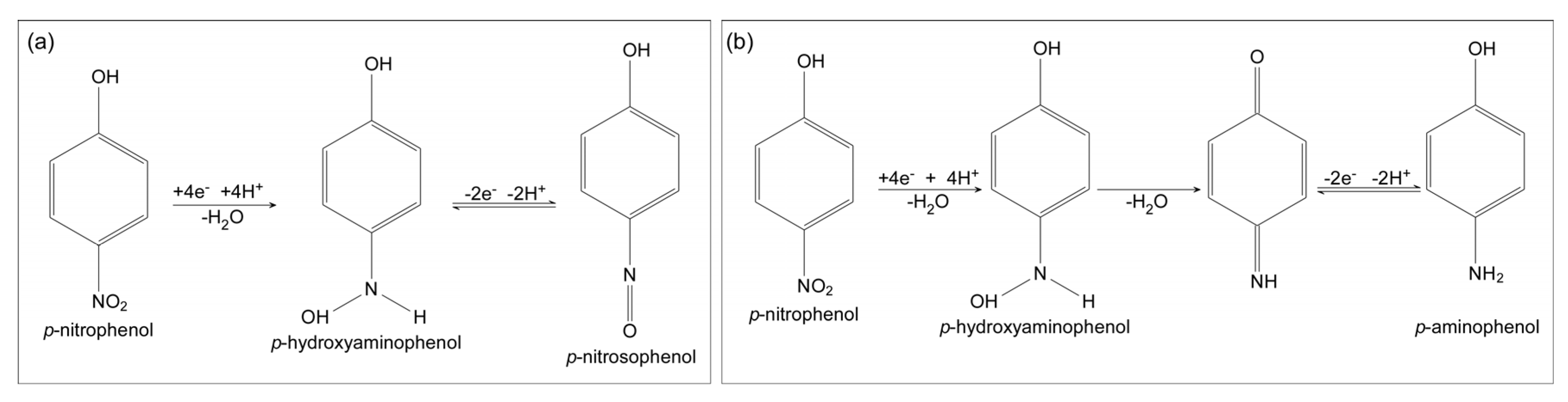 Biosensors 13 00219 g001