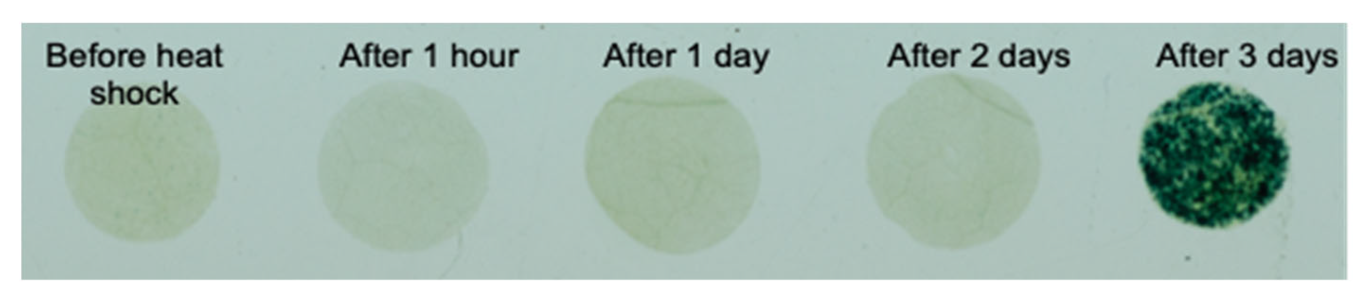 Biosensors 13 00219 g008