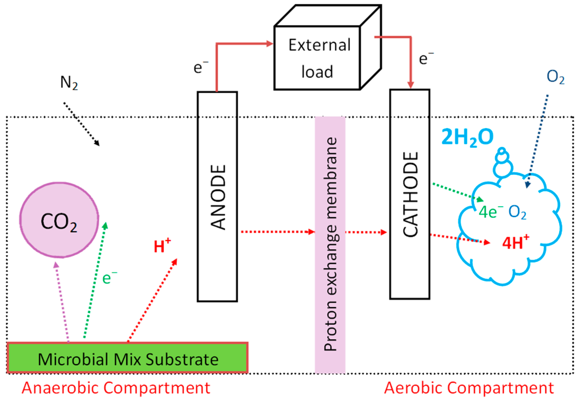 Biosensors 13 00221 g002