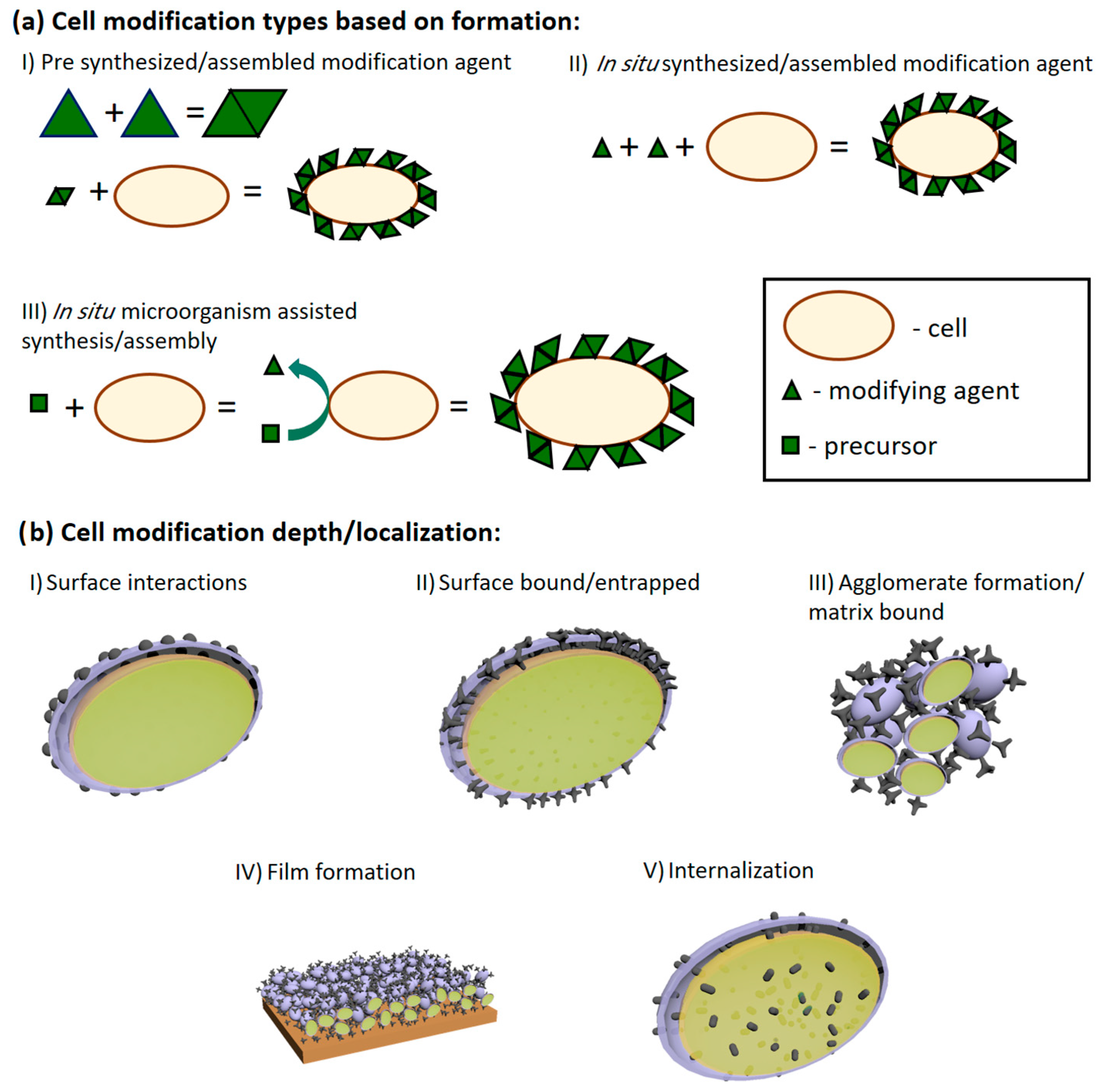 Biosensors 13 00221 g003