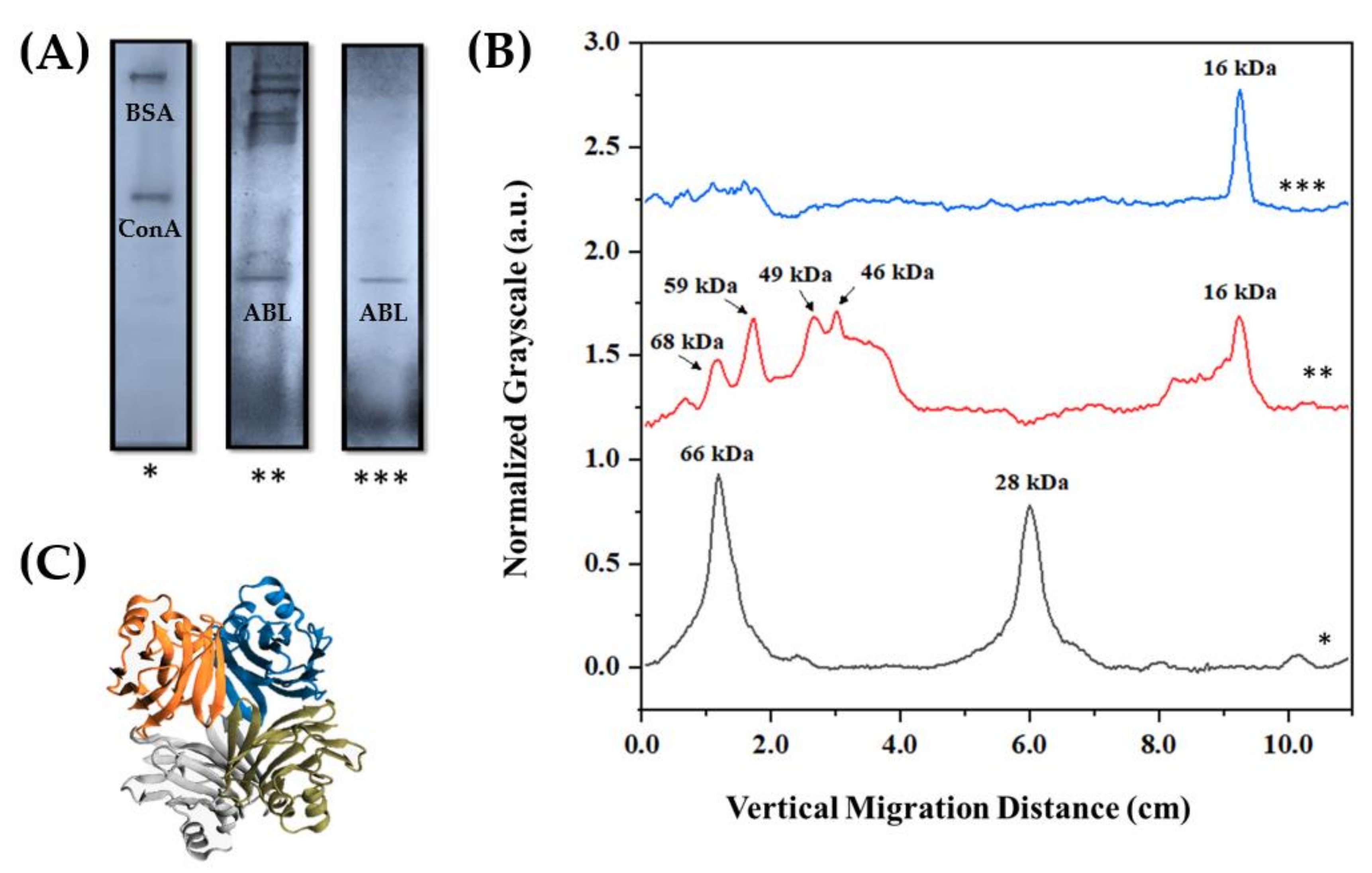Biosensors 13 00224 g001