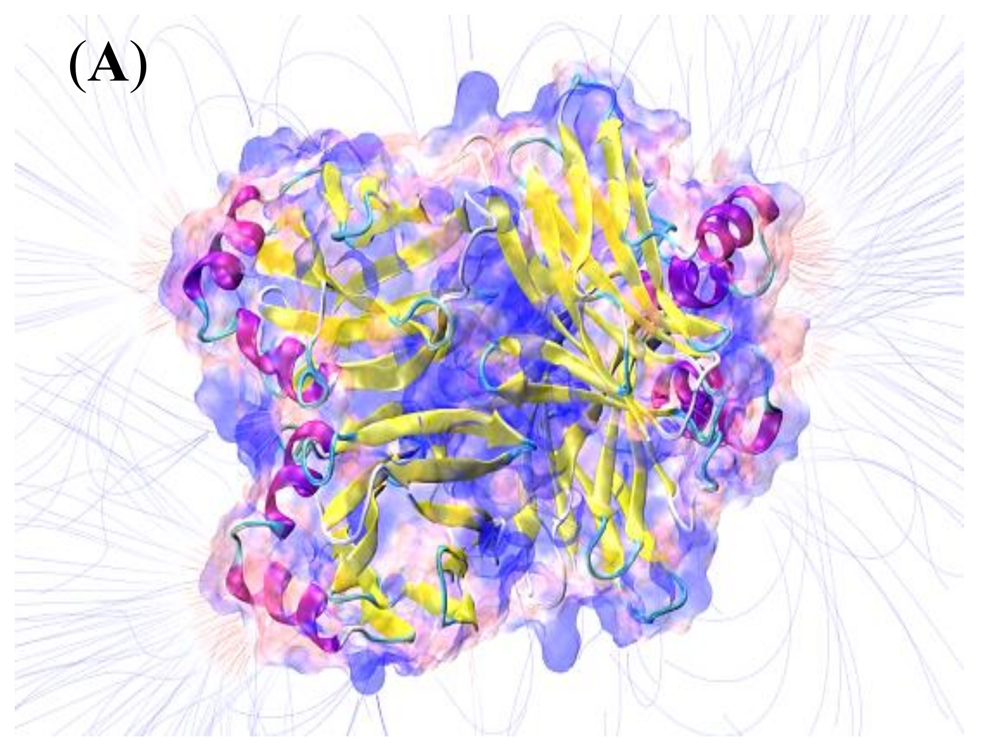 Biosensors 13 00224 g003a