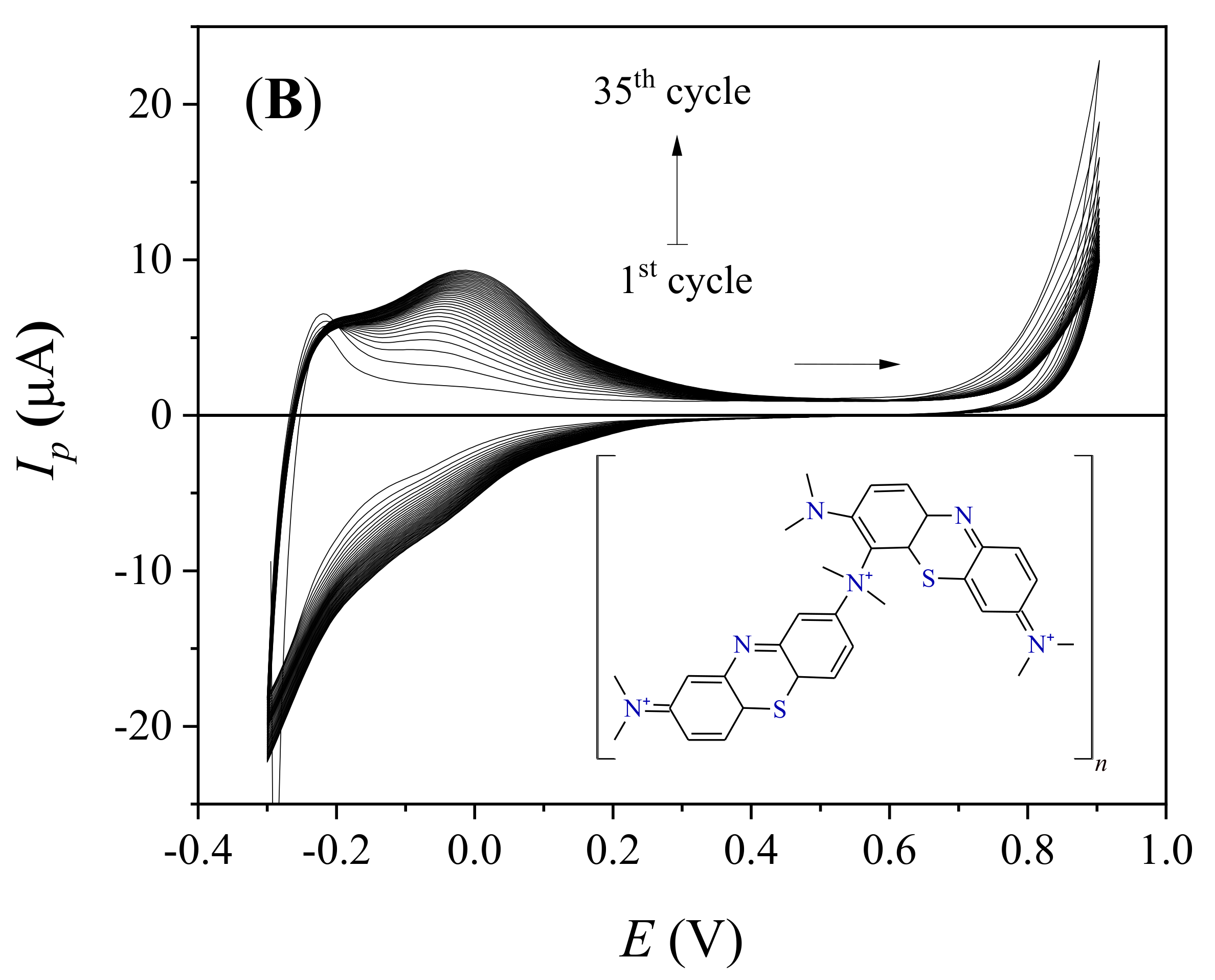 Biosensors 13 00224 g003b