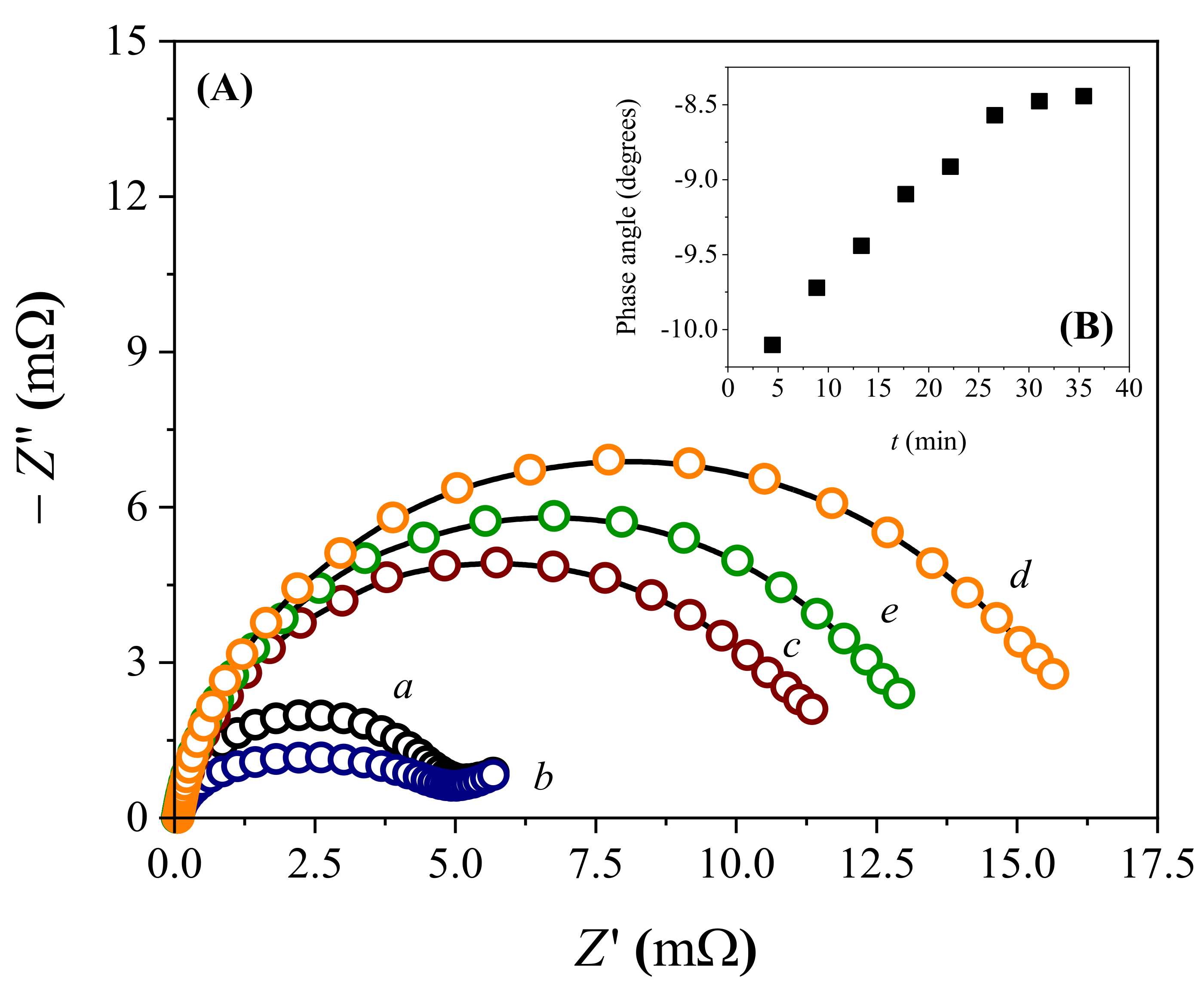 Biosensors 13 00224 g004