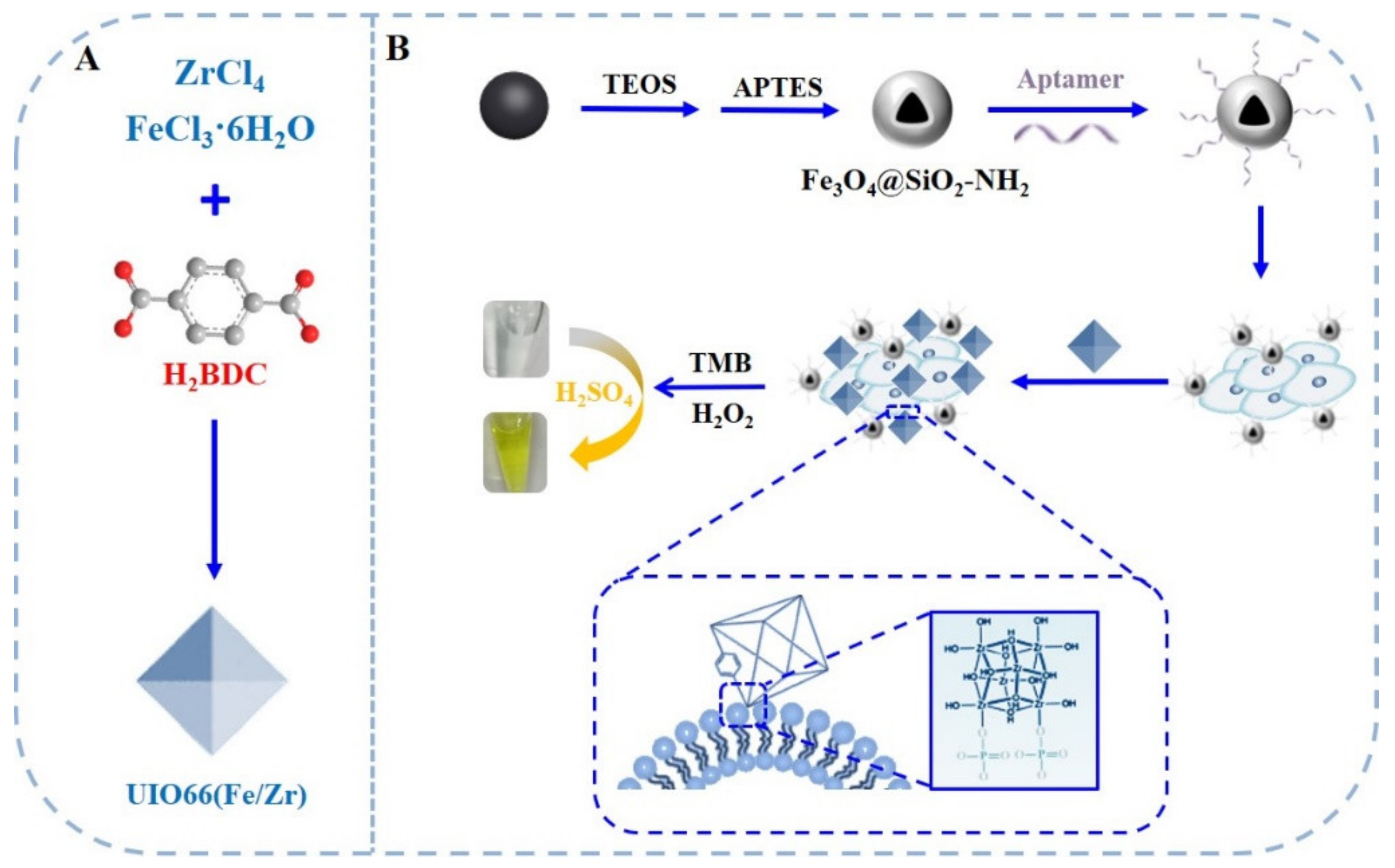 Biosensors 13 00225 g001