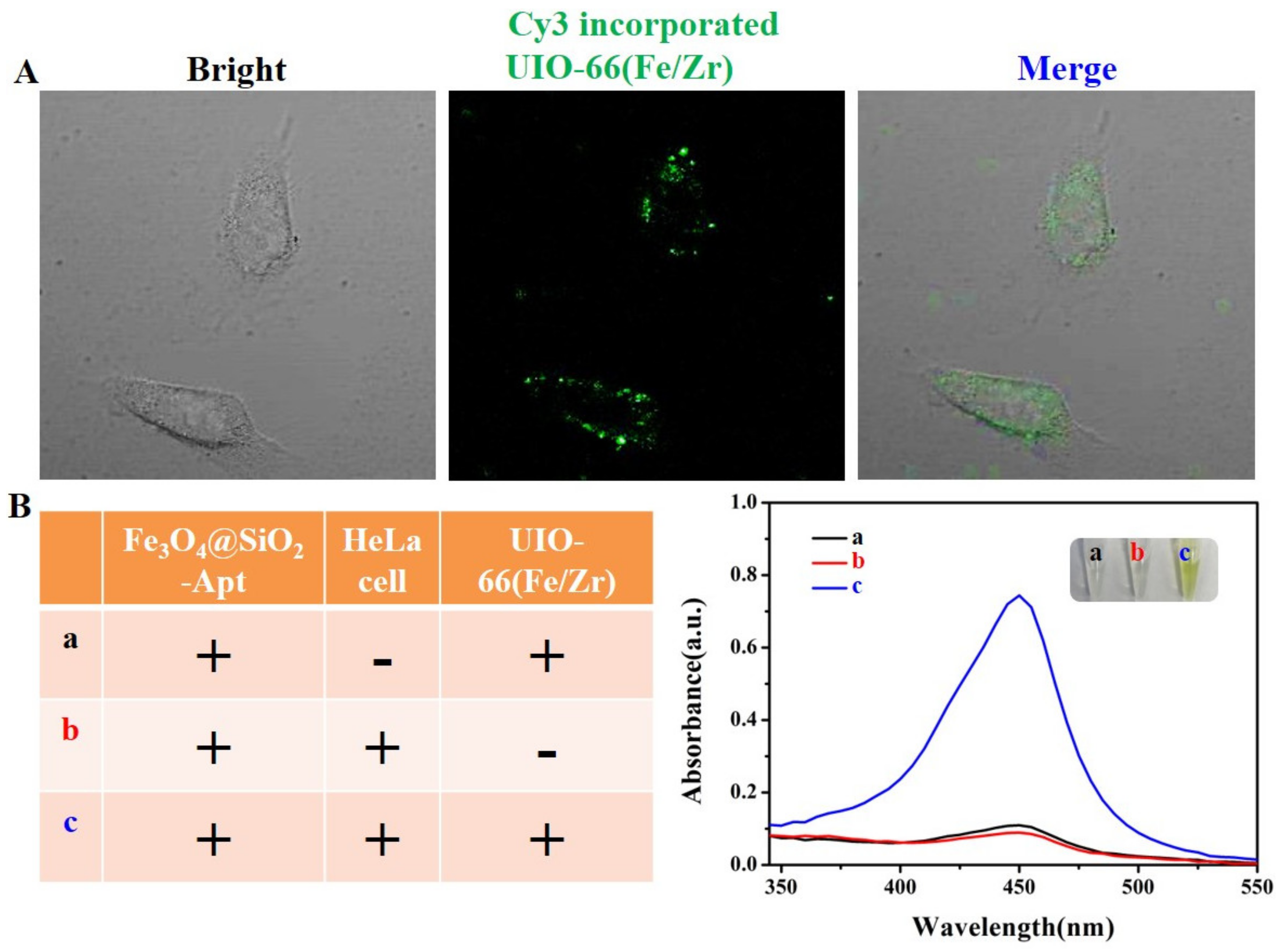 Biosensors 13 00225 g004