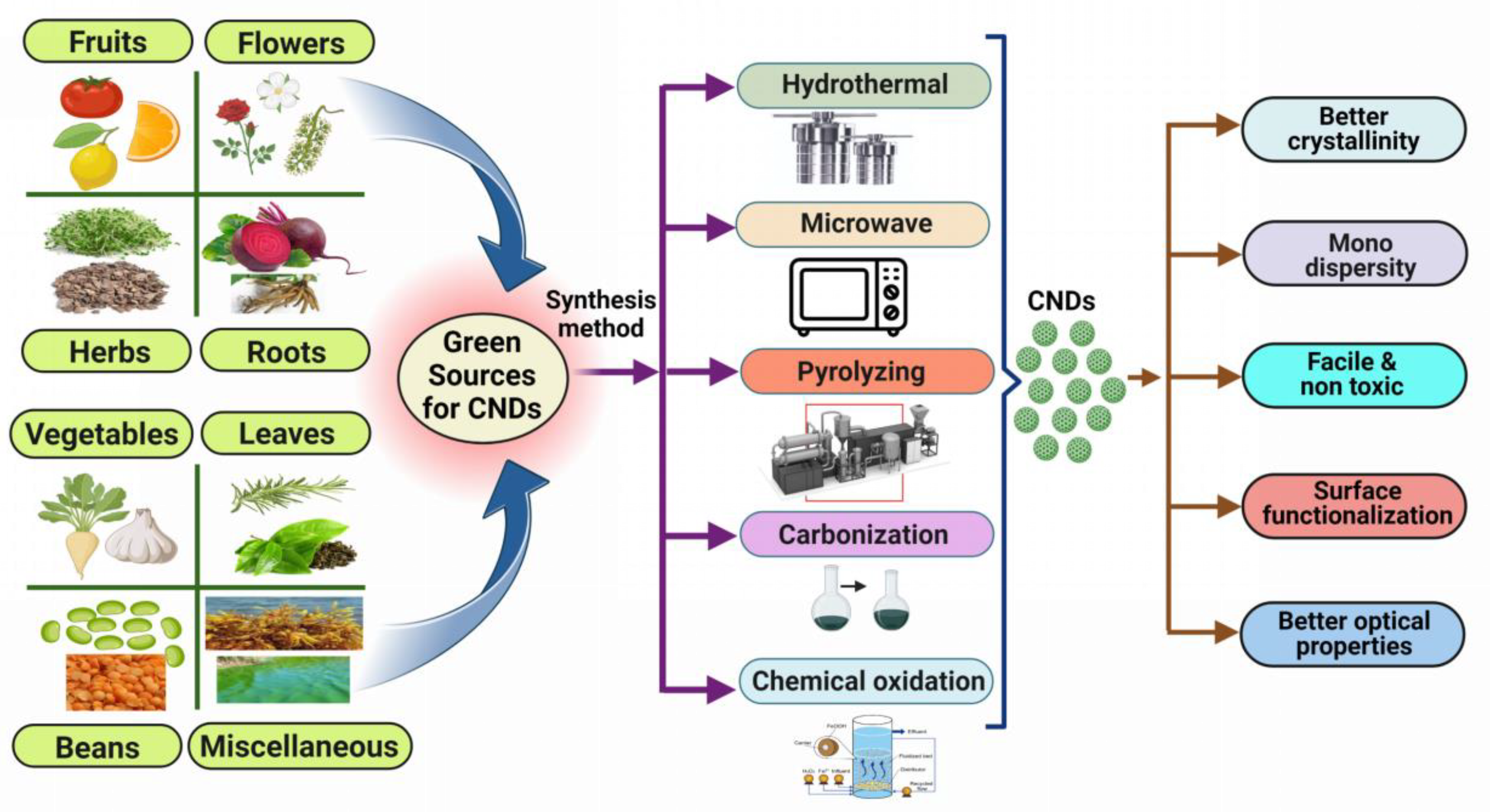 Biosensors 13 00226 g003