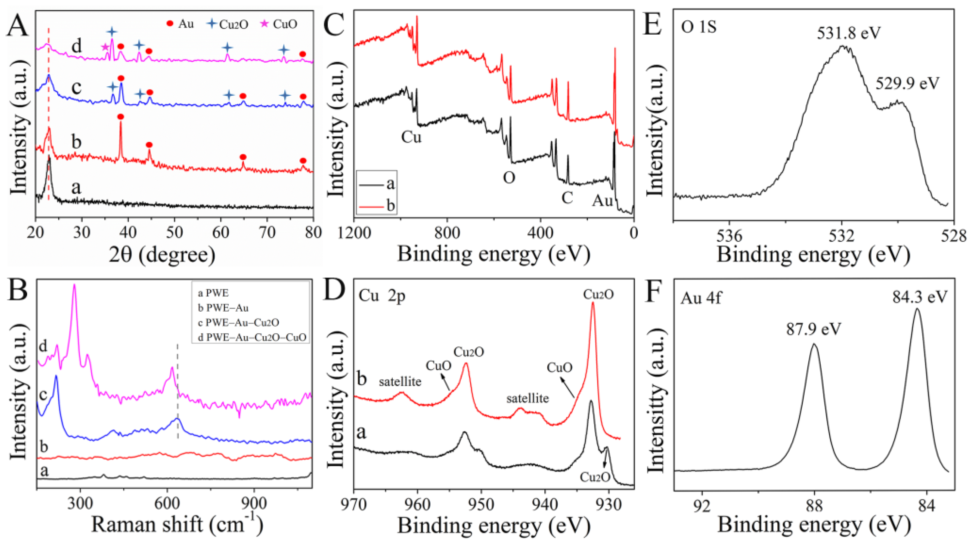 Biosensors 13 00227 g003