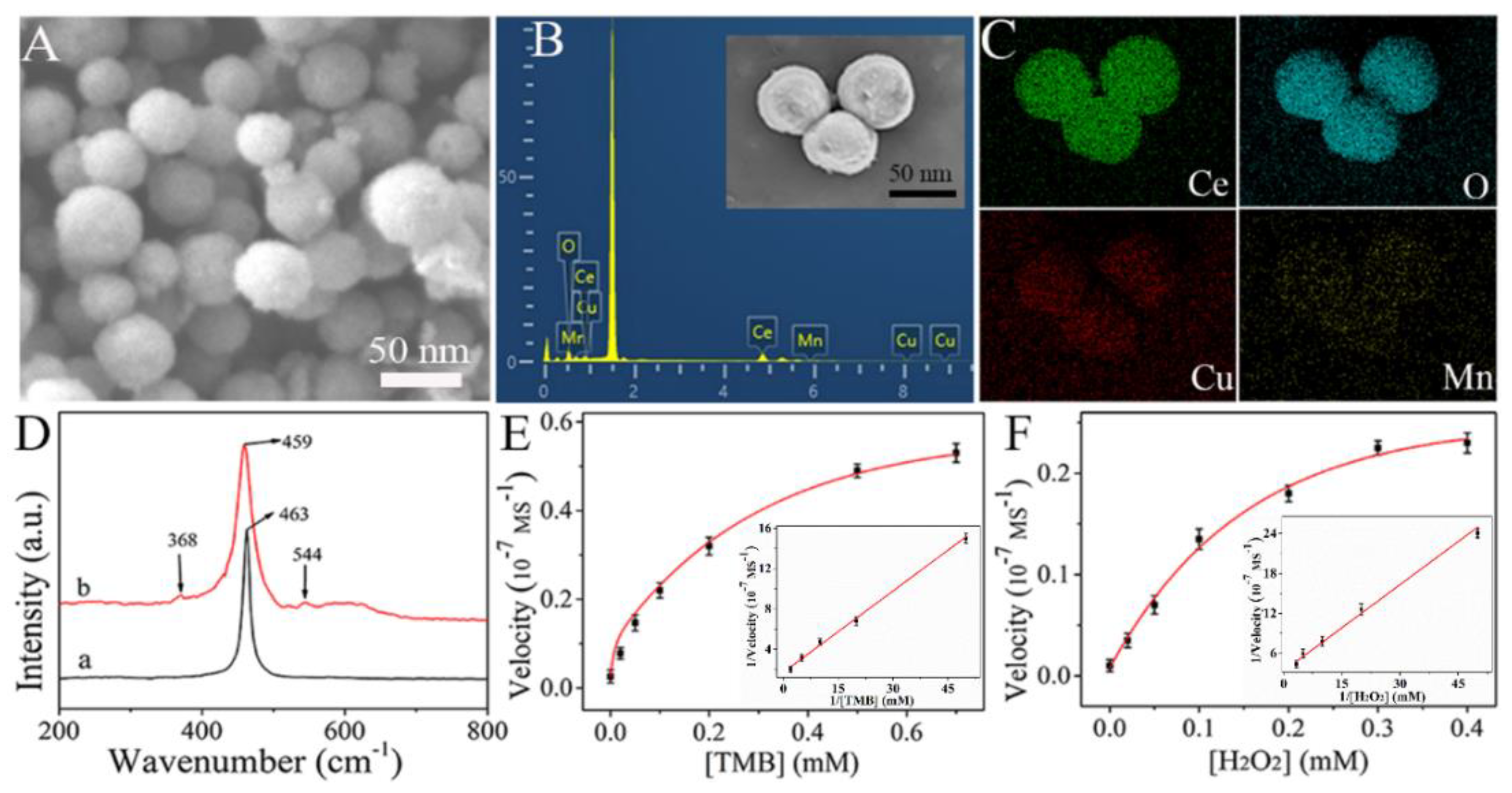 Biosensors 13 00227 g004