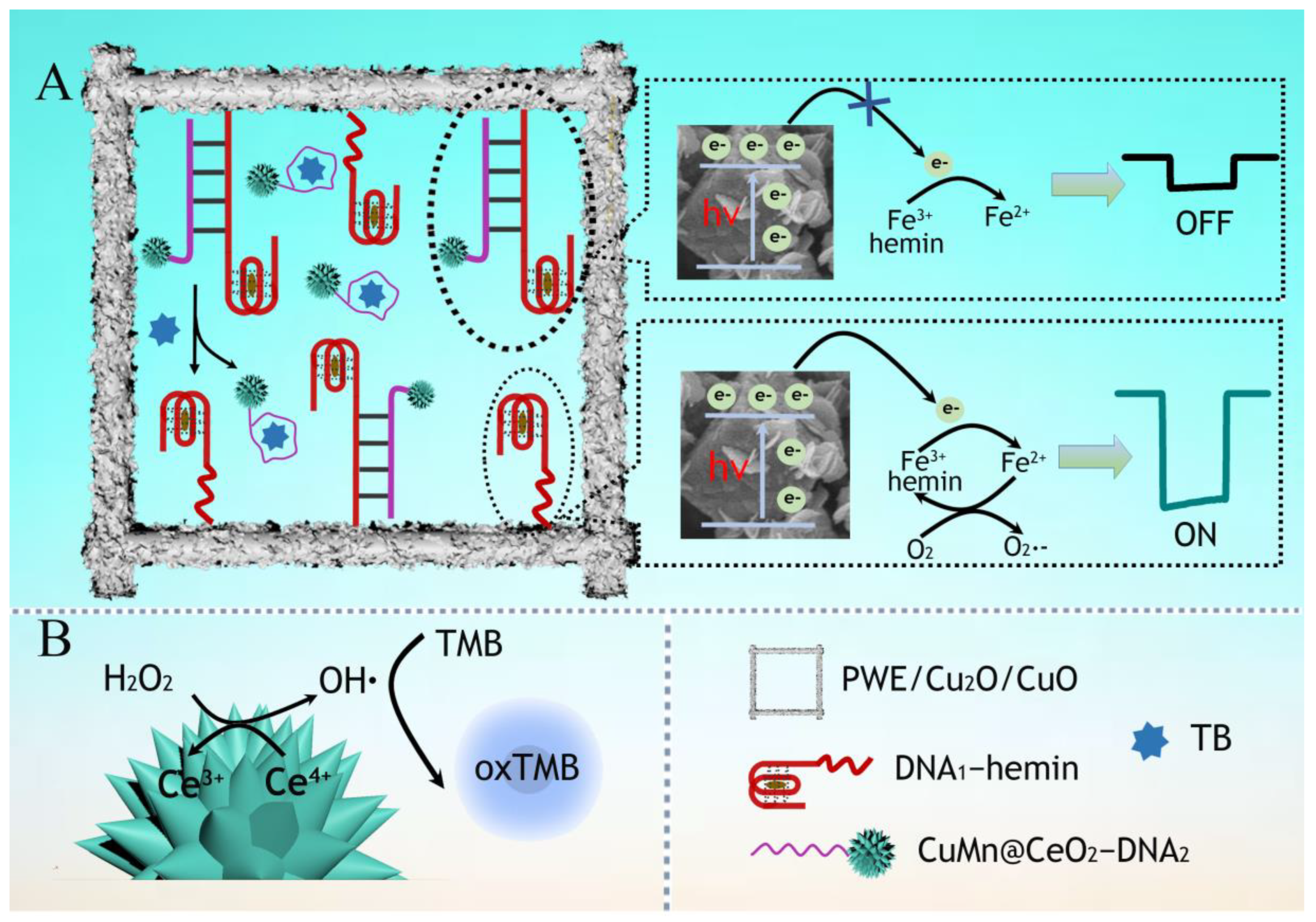 Biosensors 13 00227 sch001
