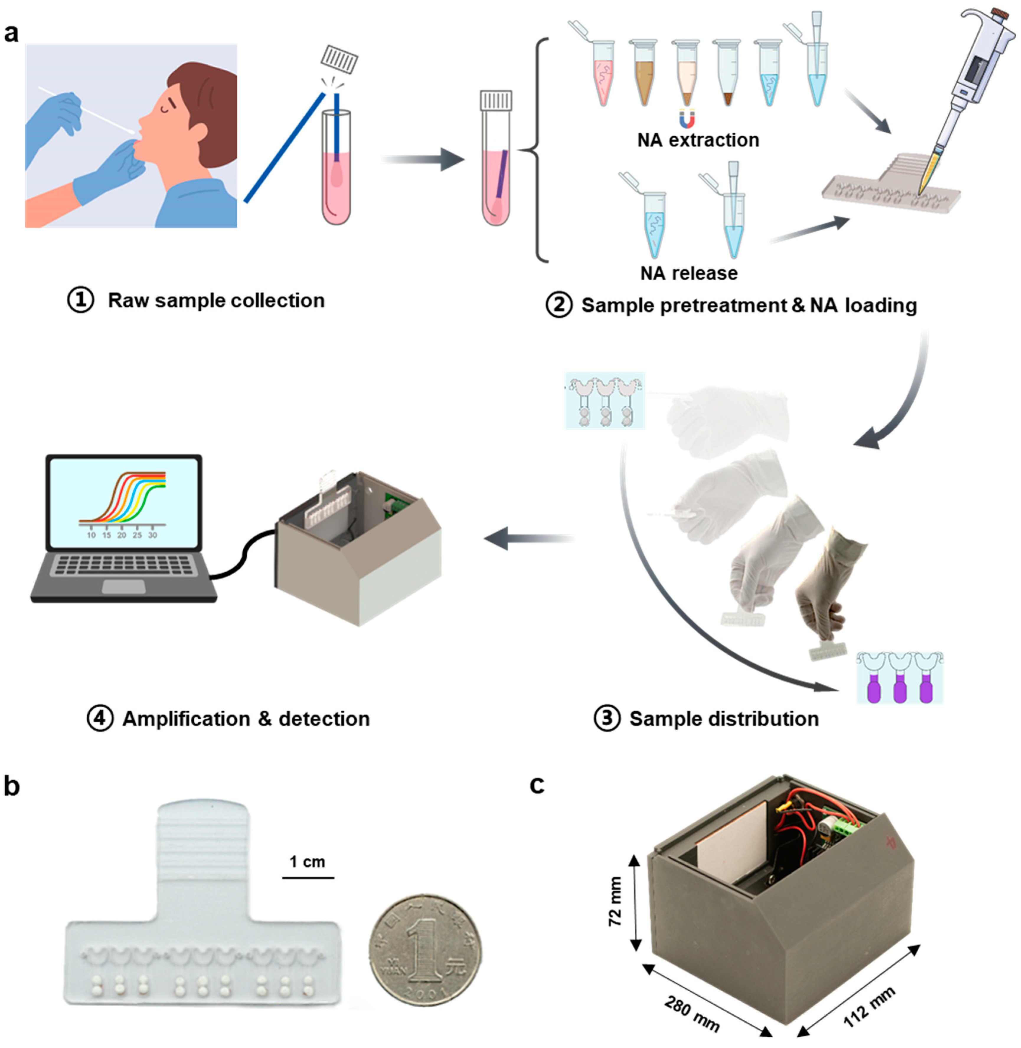 Biosensors 13 00228 g001