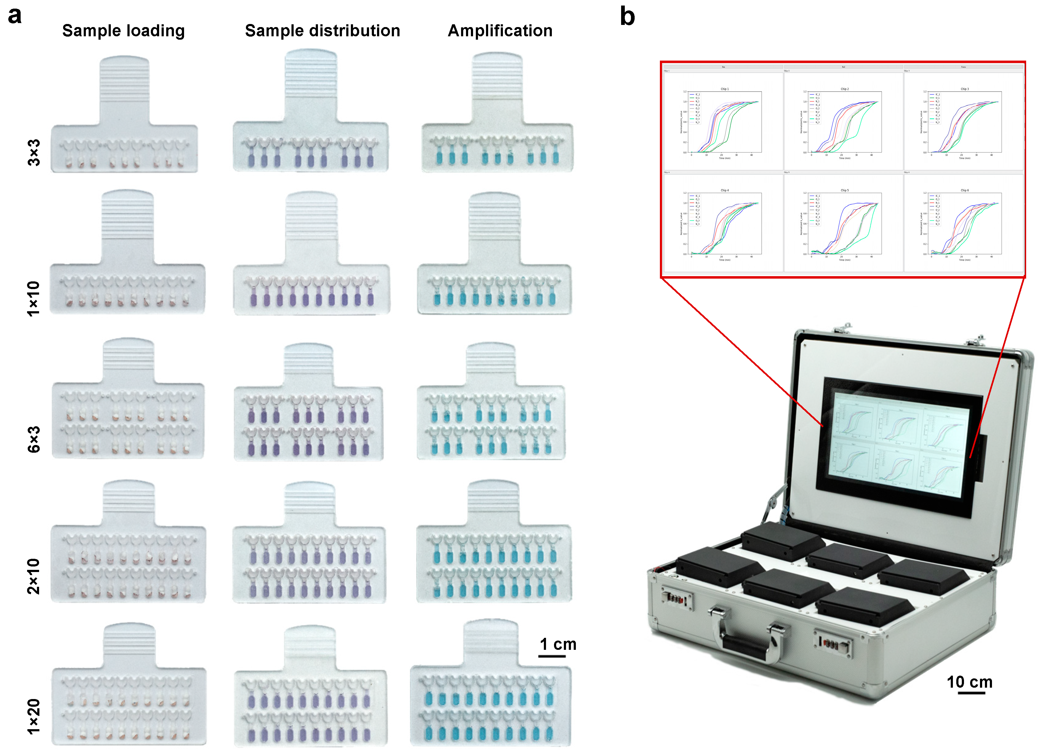 Biosensors 13 00228 g005