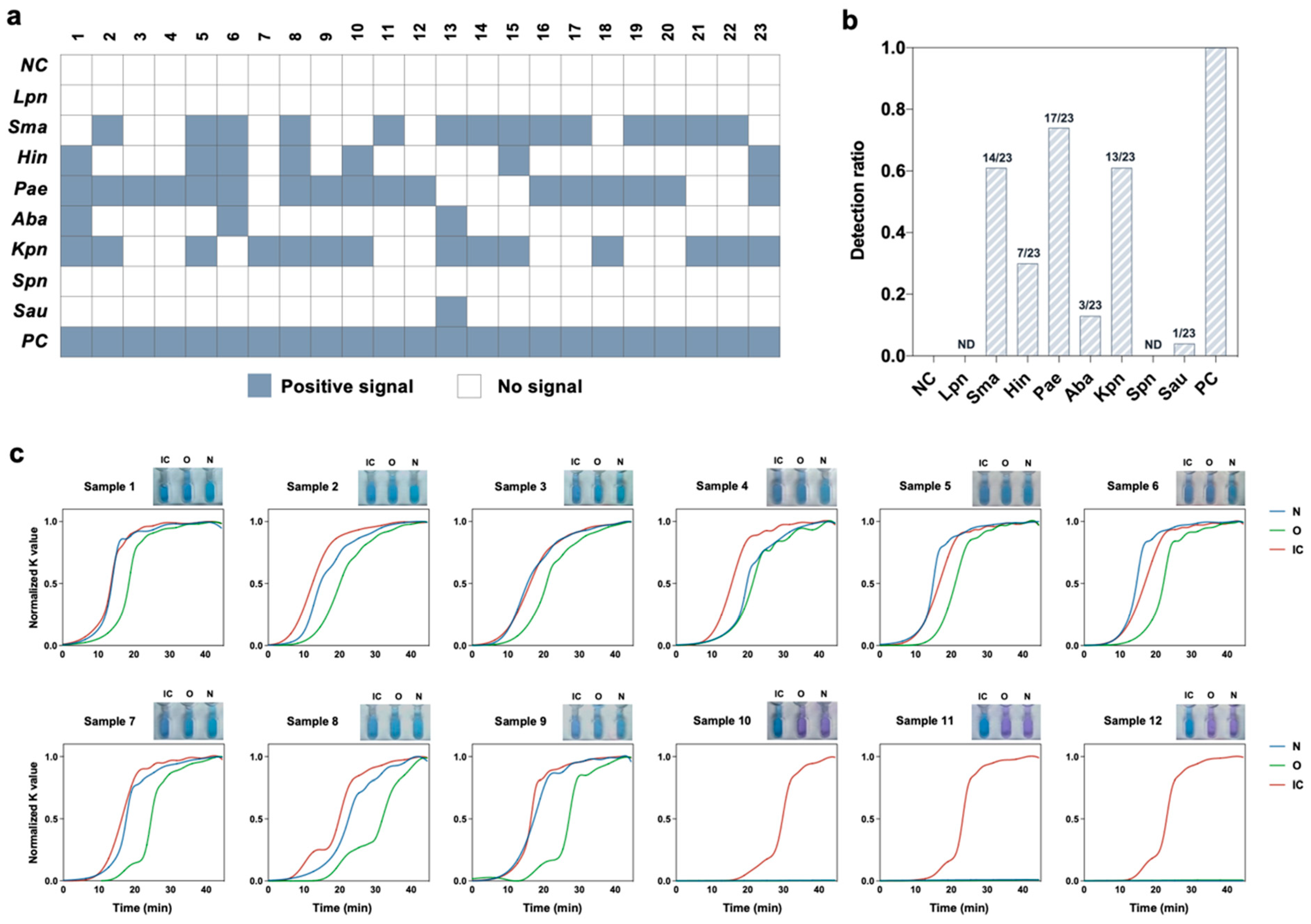 Biosensors 13 00228 g006