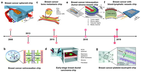Biosensors 13 00231 g001