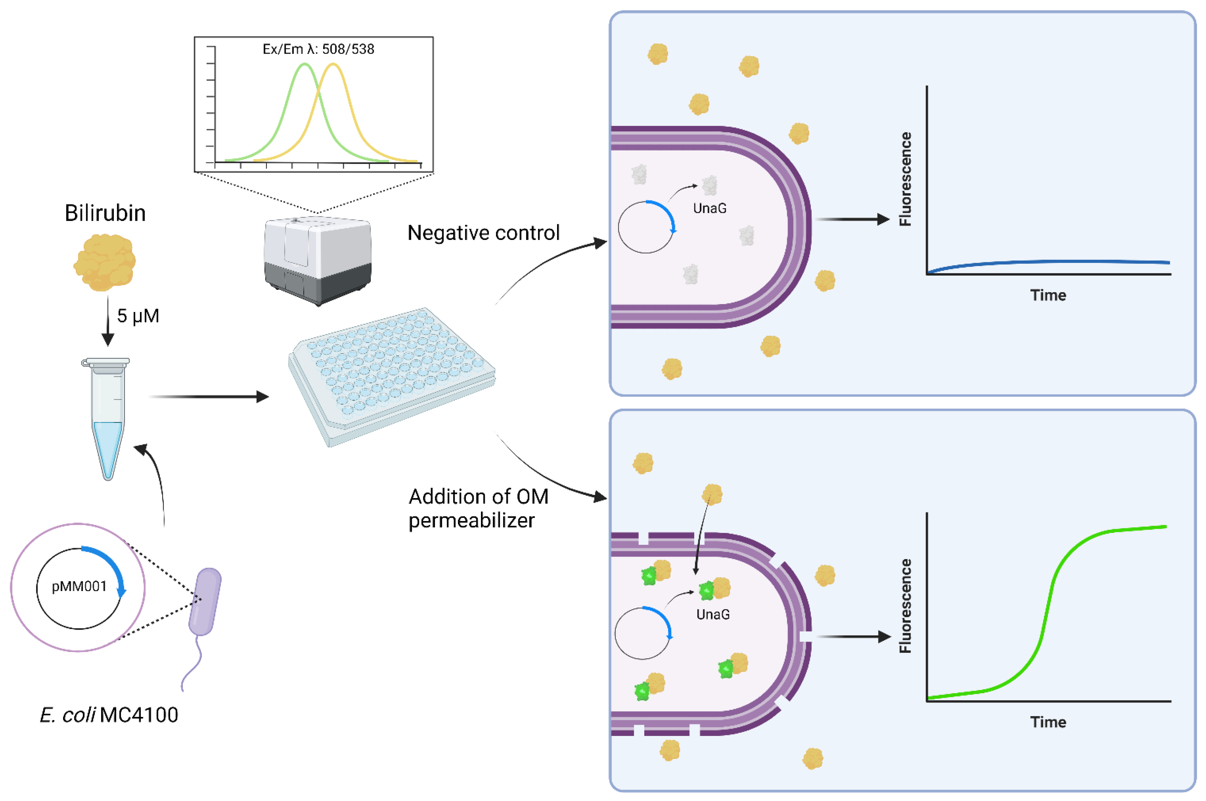 Biosensors 13 00232 g008