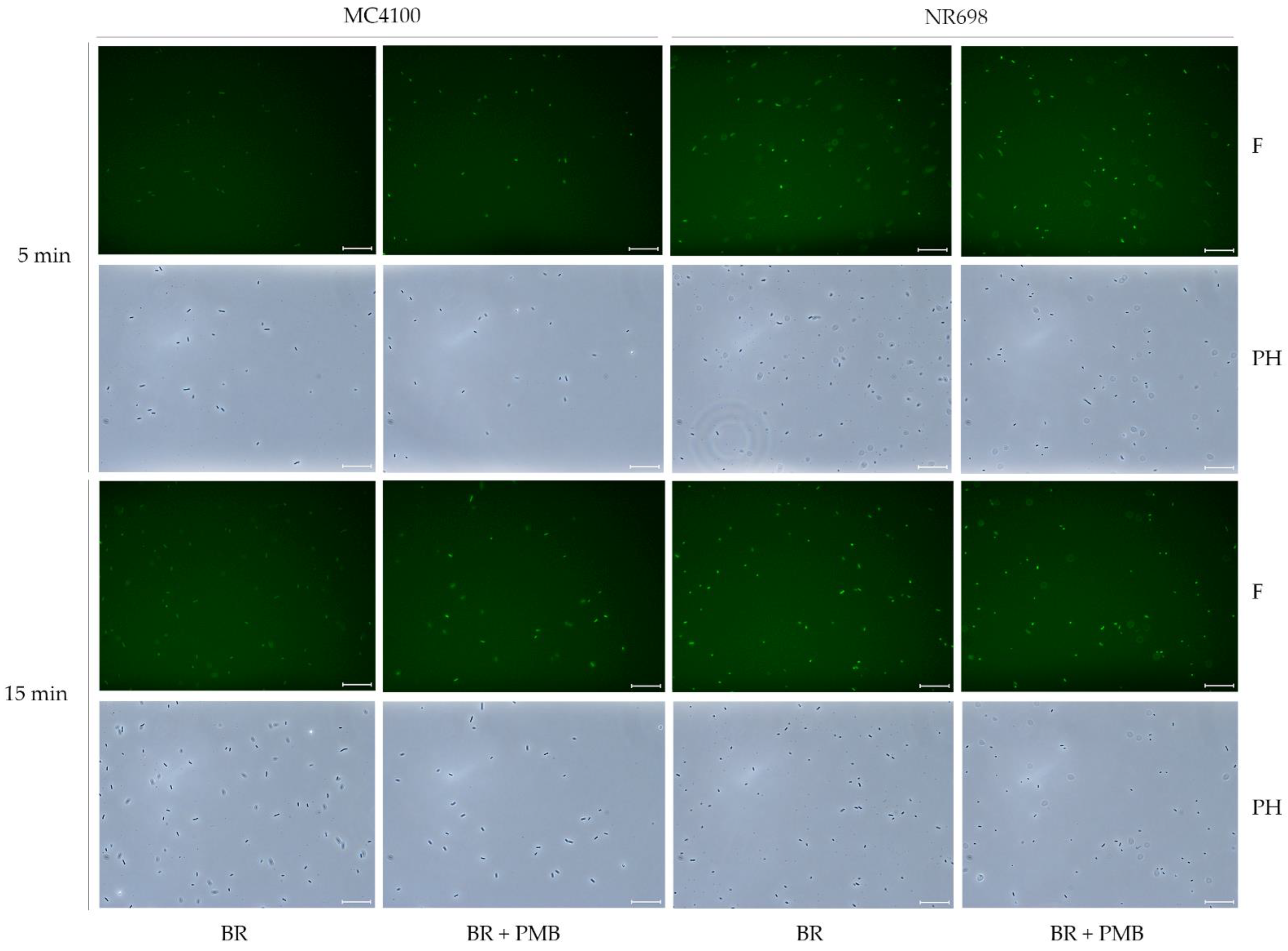 Biosensors 13 00232 g009