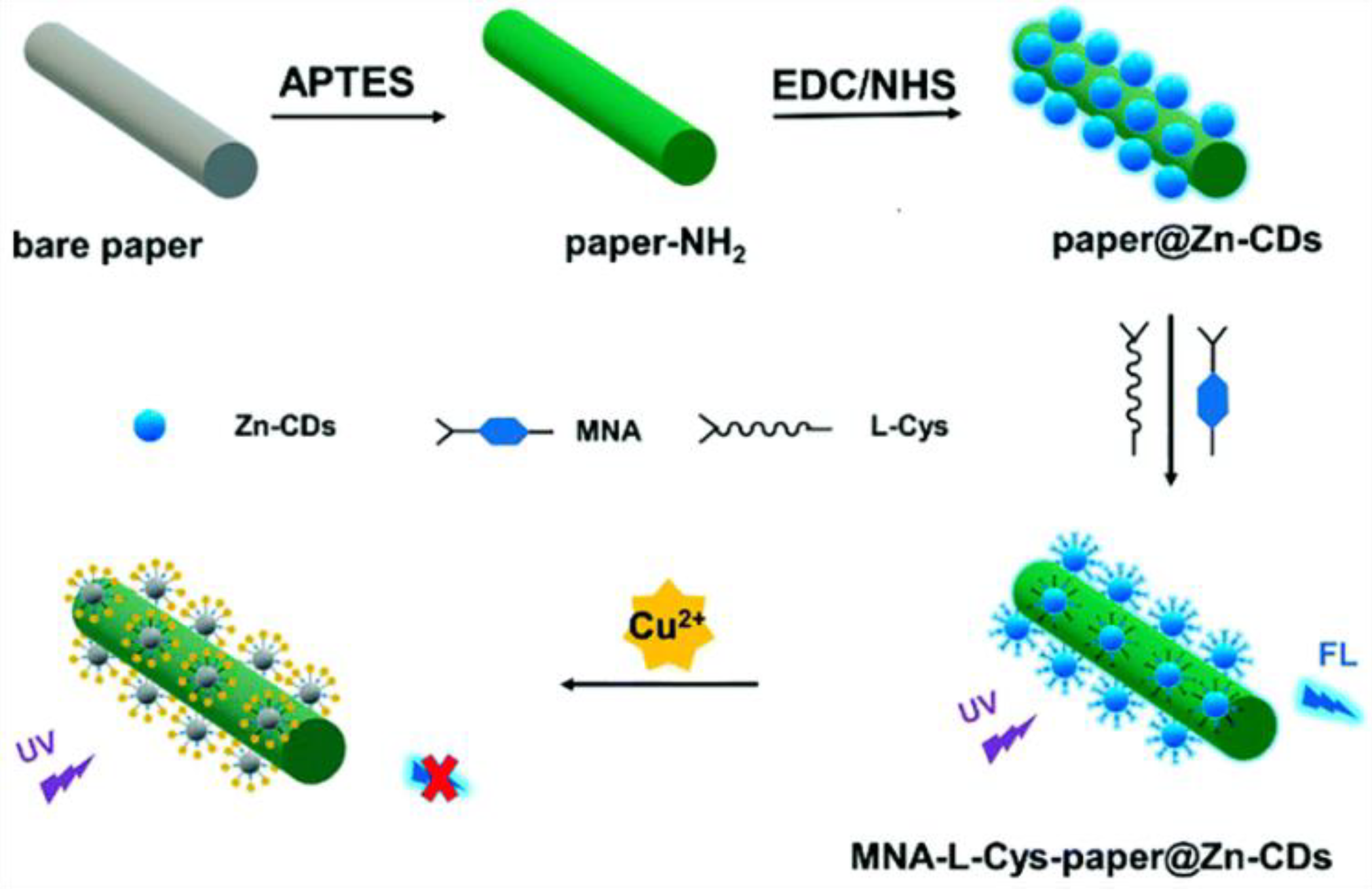 Biosensors 13 00233 g001
