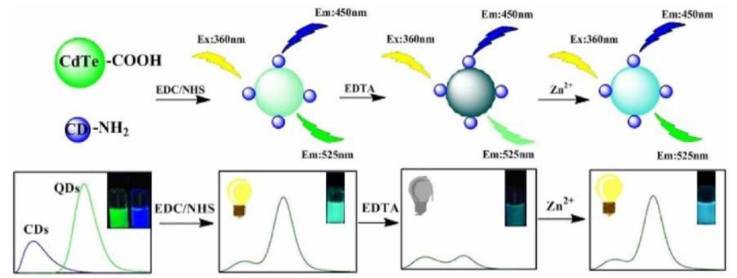 Biosensors 13 00233 g005