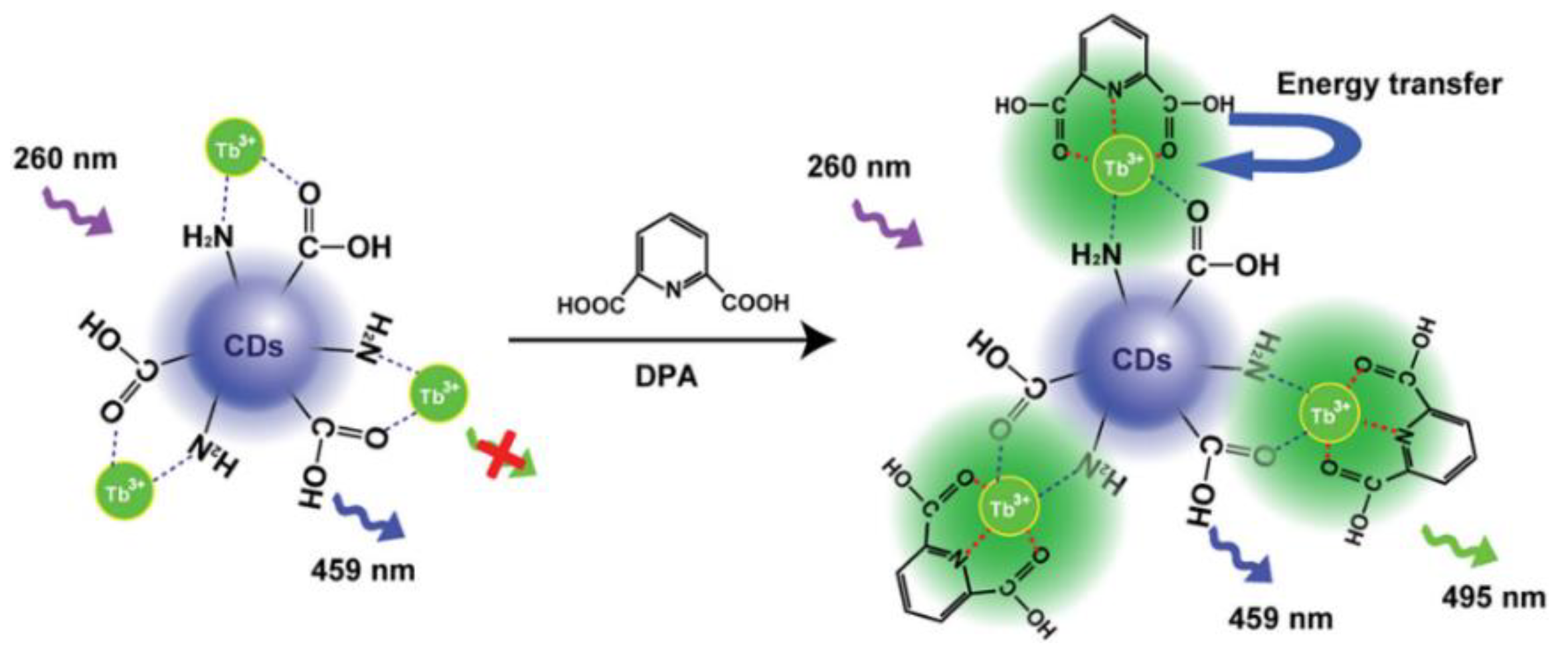 Biosensors 13 00233 g006