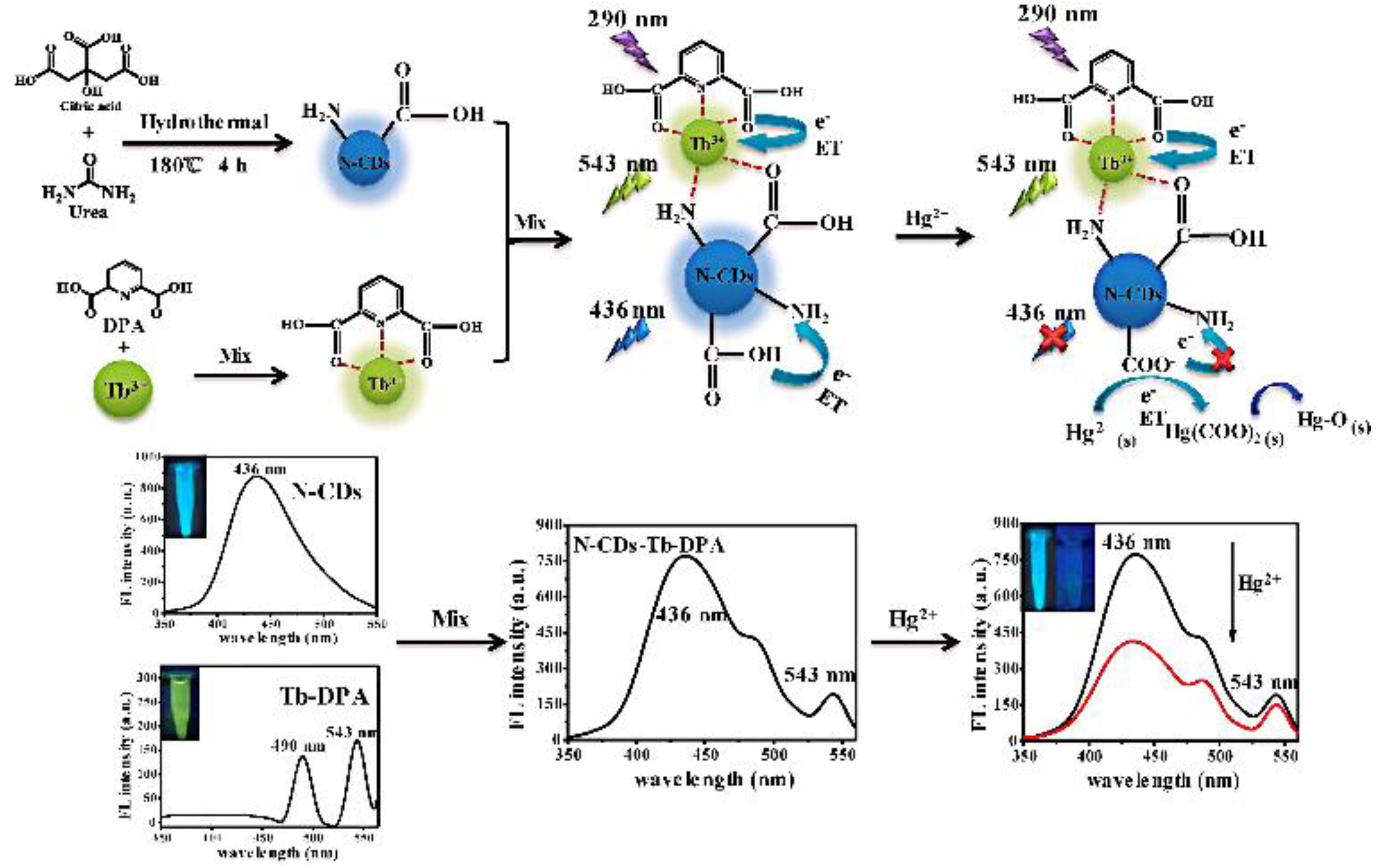 Biosensors 13 00233 g007