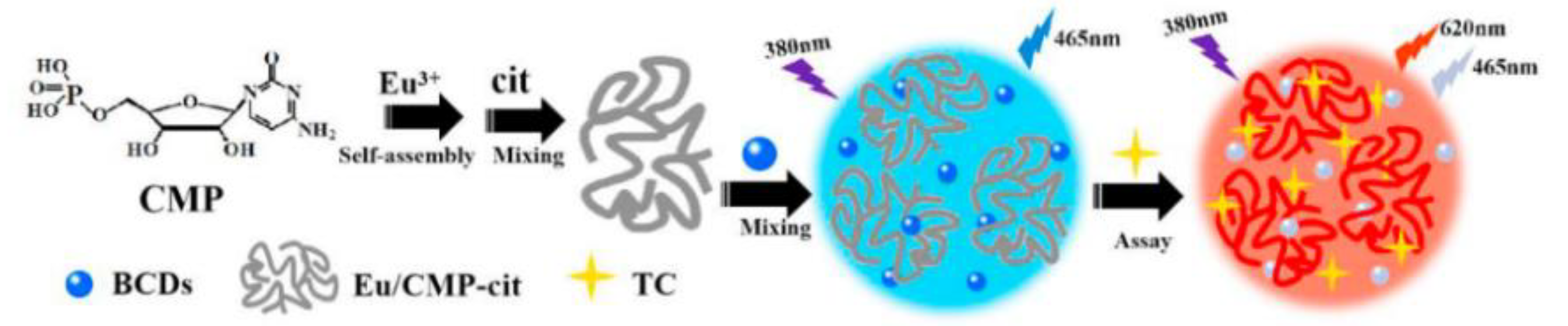 Biosensors 13 00233 g008