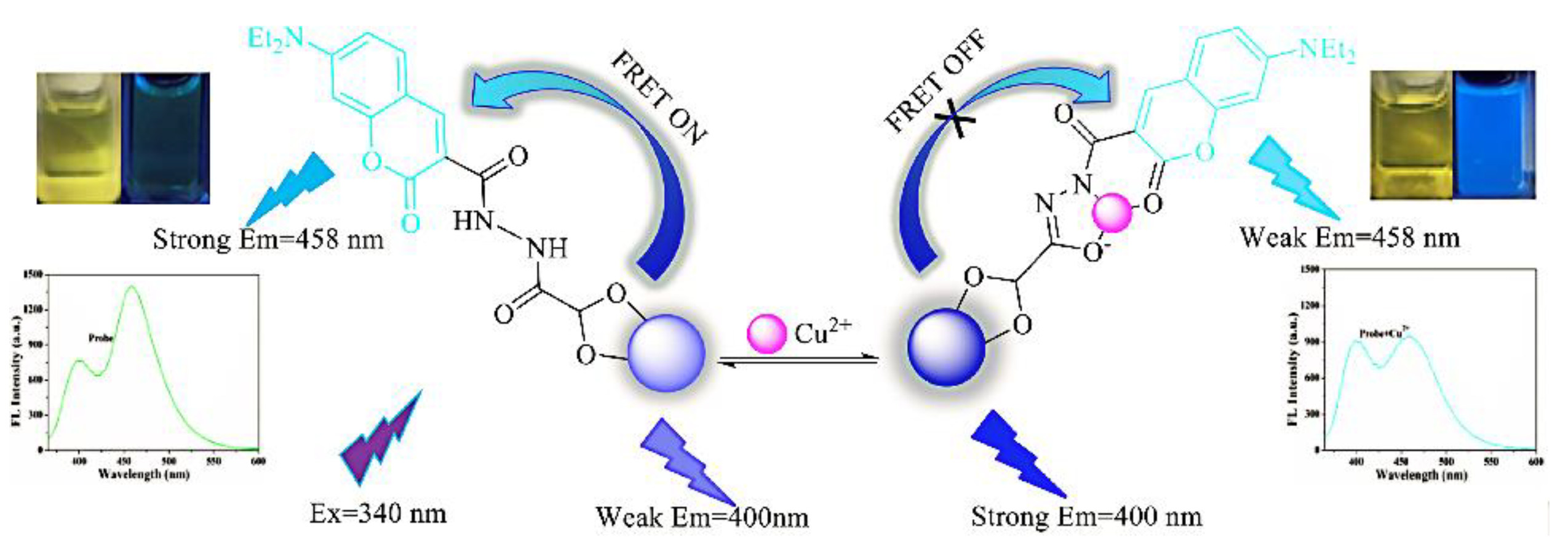 Biosensors 13 00233 g009
