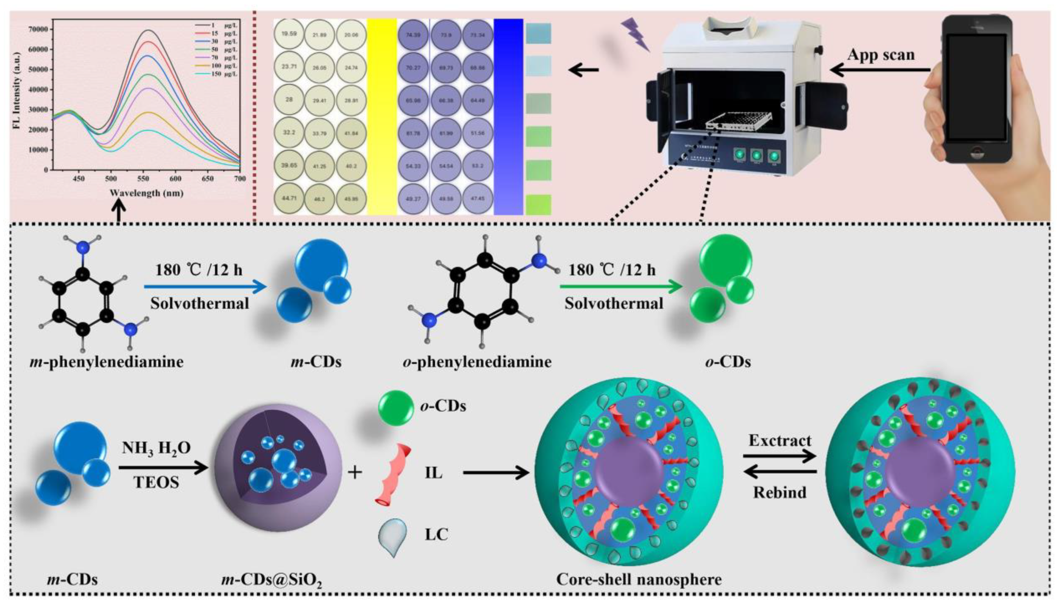 Biosensors 13 00233 g010