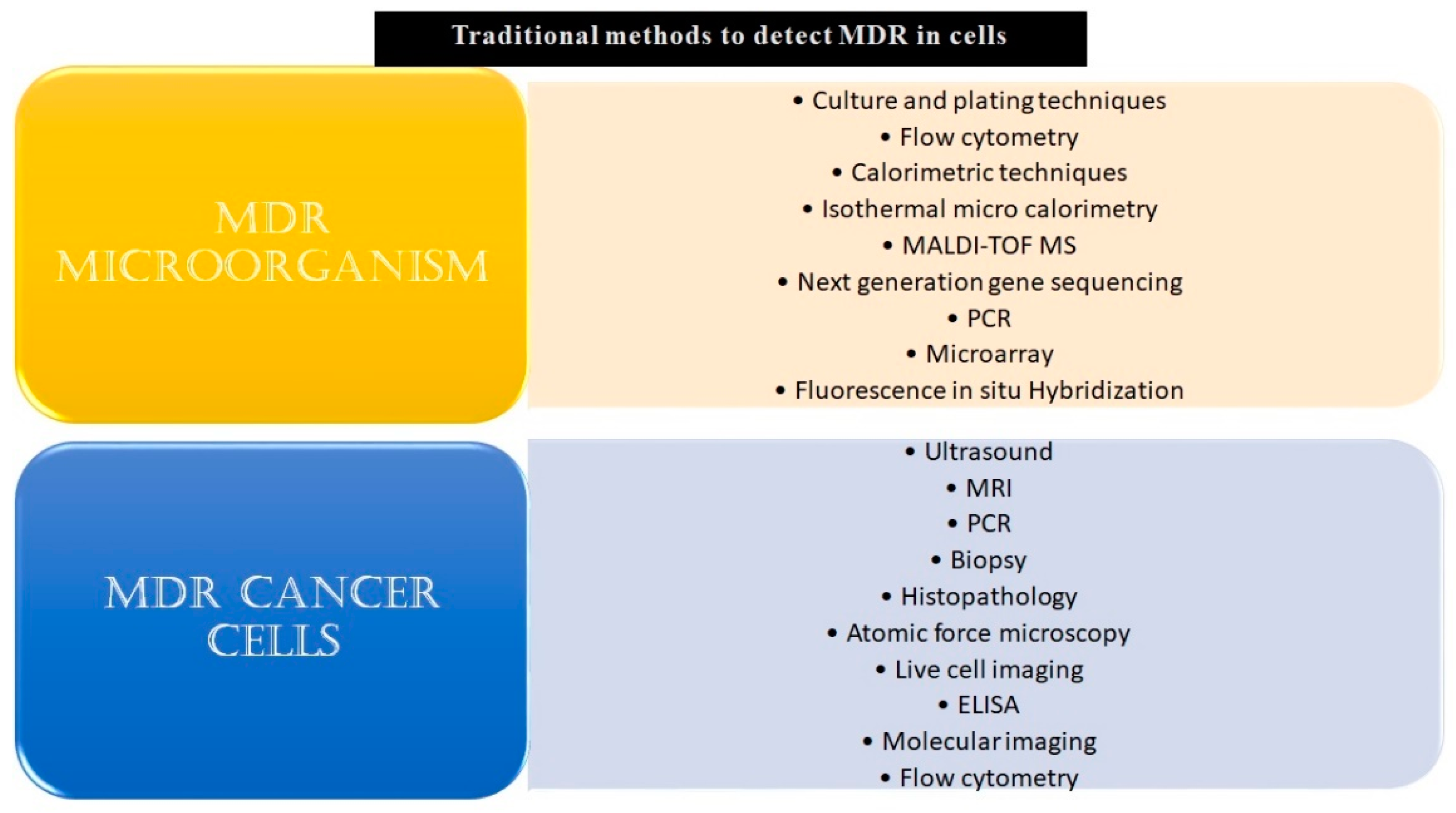 Biosensors 13 00235 g001