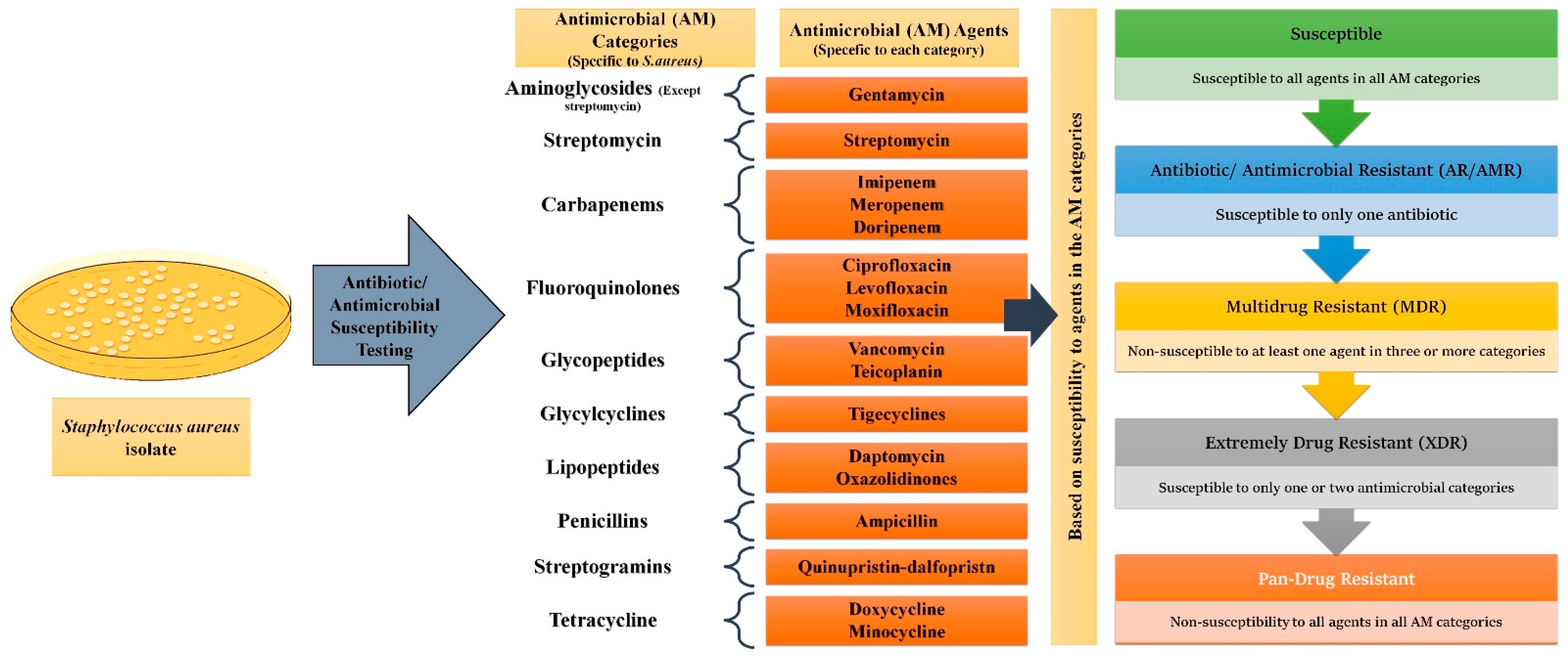 Biosensors 13 00235 g002