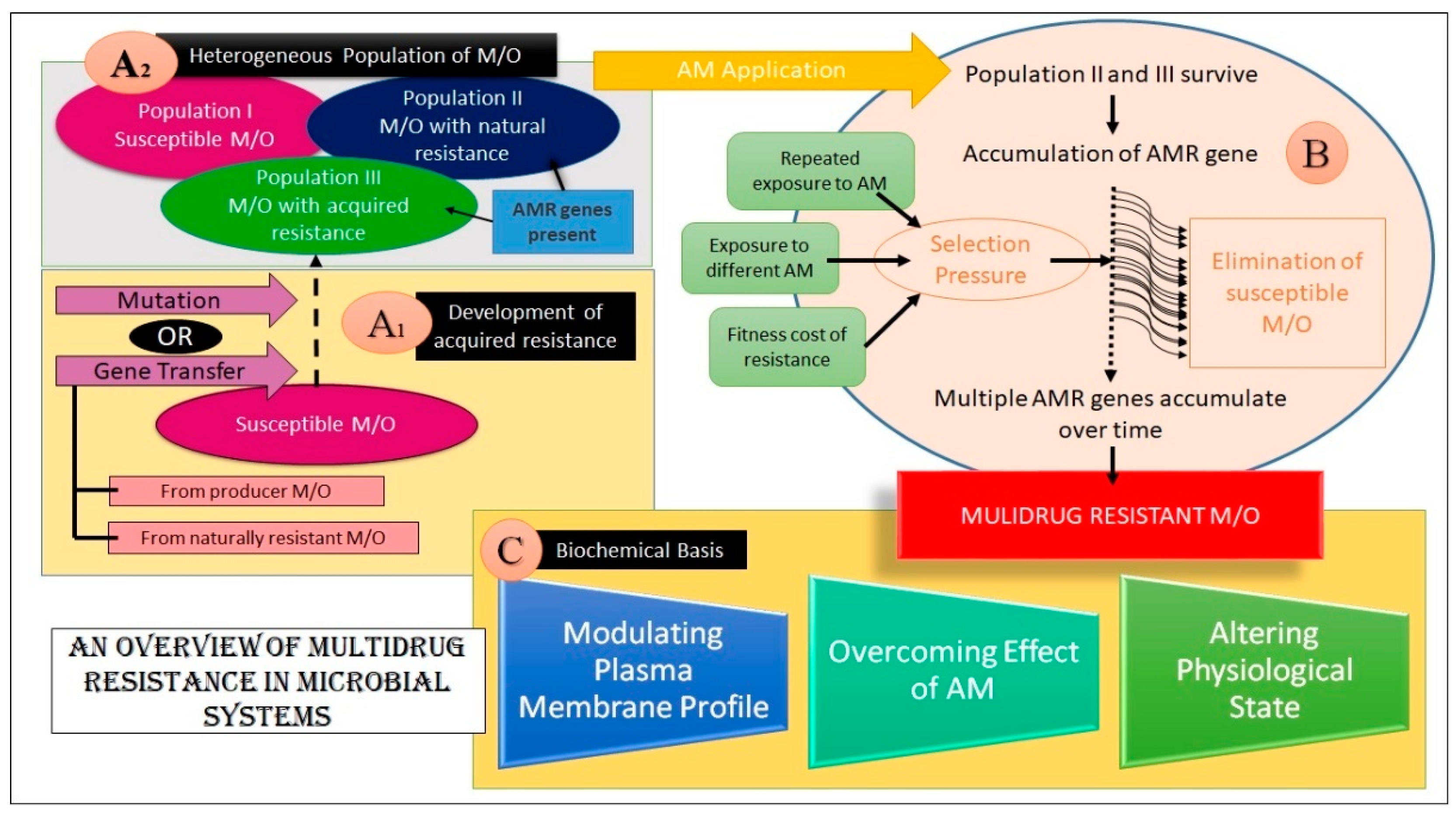 Biosensors 13 00235 g003